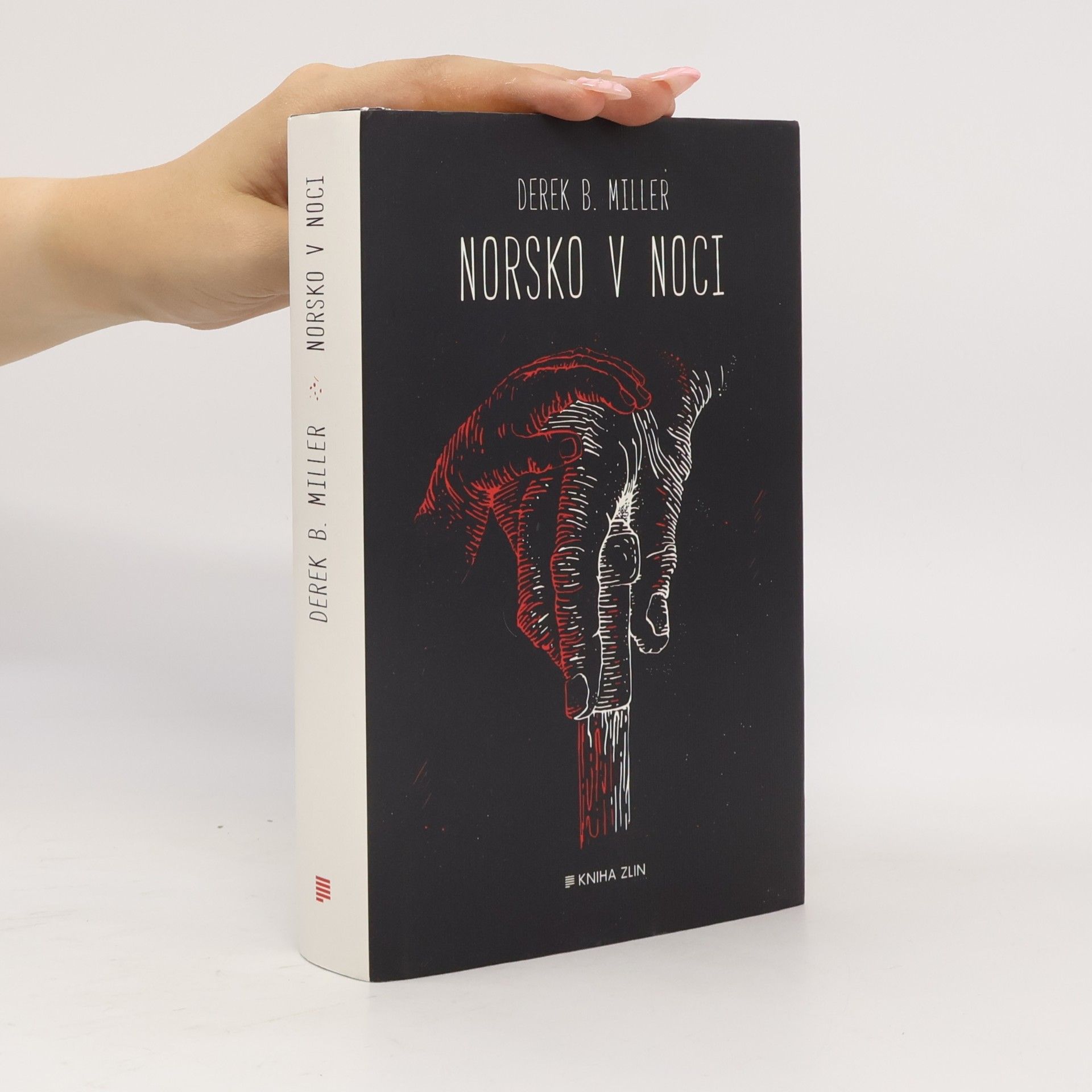 Derek B. Miller Norsko v noci