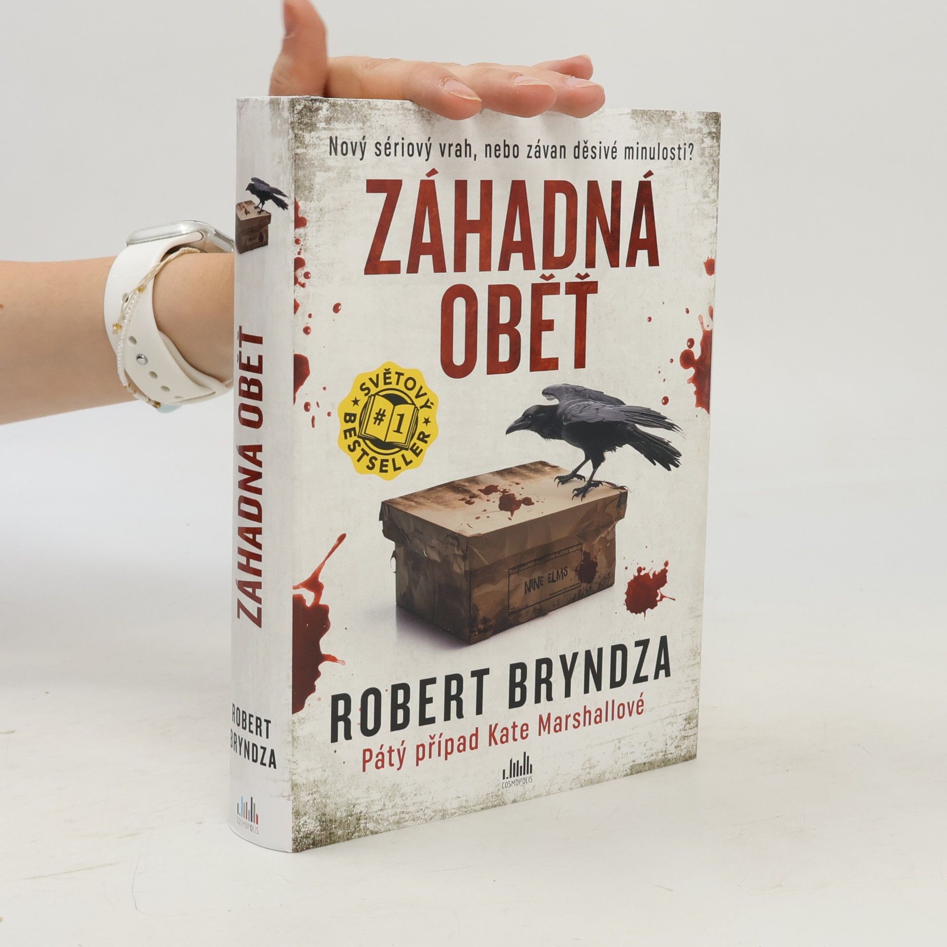 Robert Bryndza Záhadná oběť