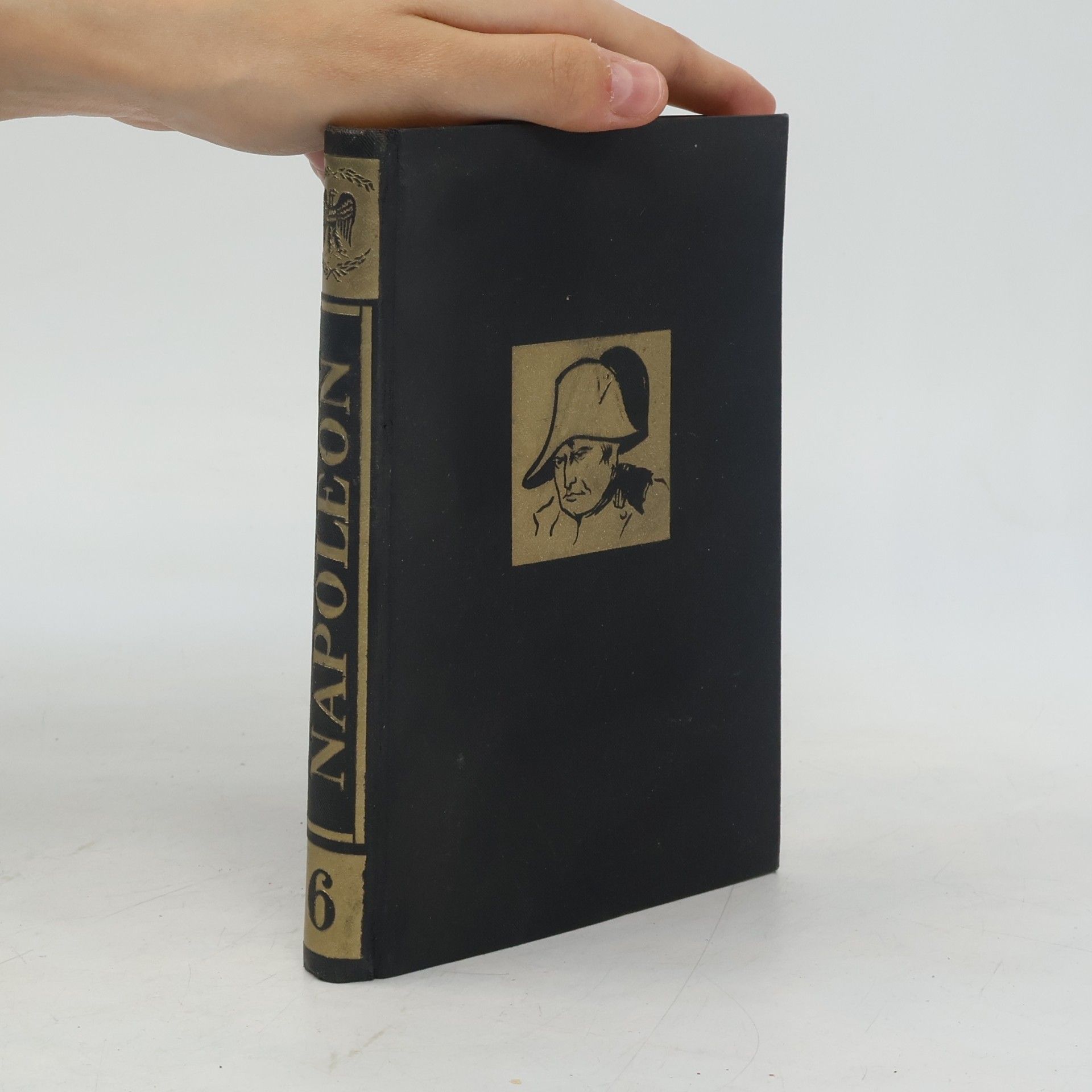 W. Gasiorowski Napoleon 6