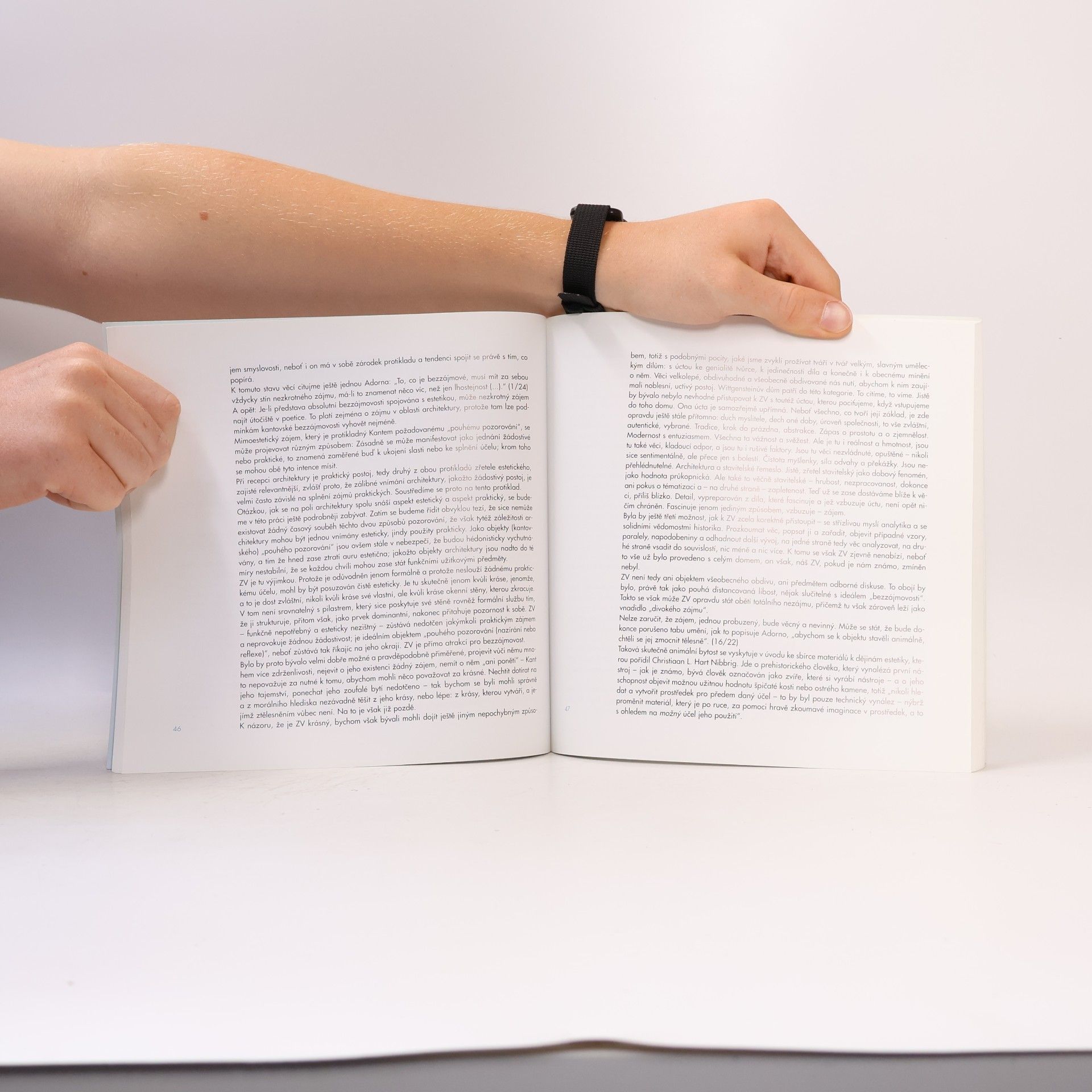 Evžen Turnovský Poetika zedního výstupku