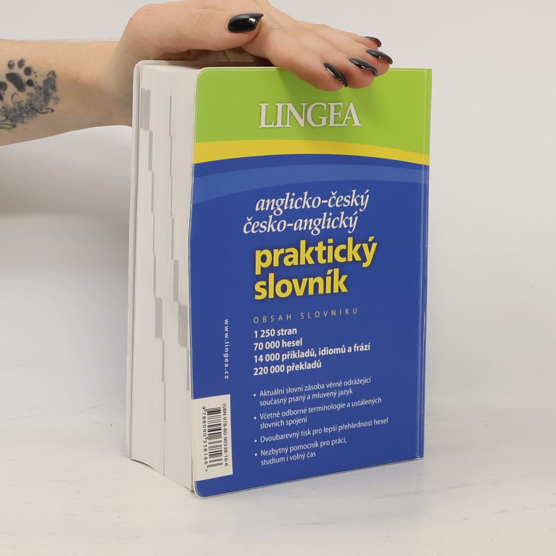 Autorenkollektiv Anglicko-český, česko-anglický praktický slovník