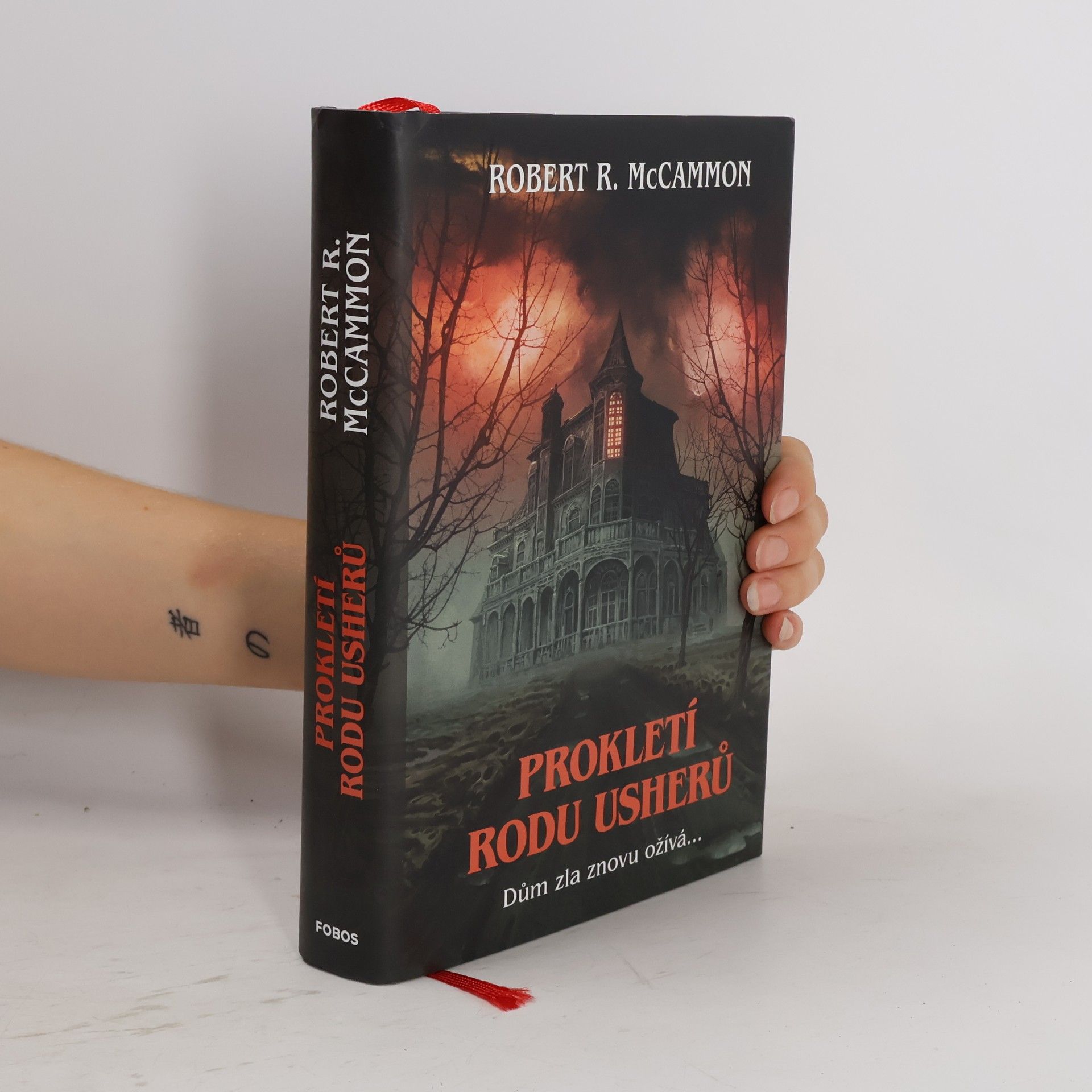 Robert McCammon Prokletí rodu Usherů