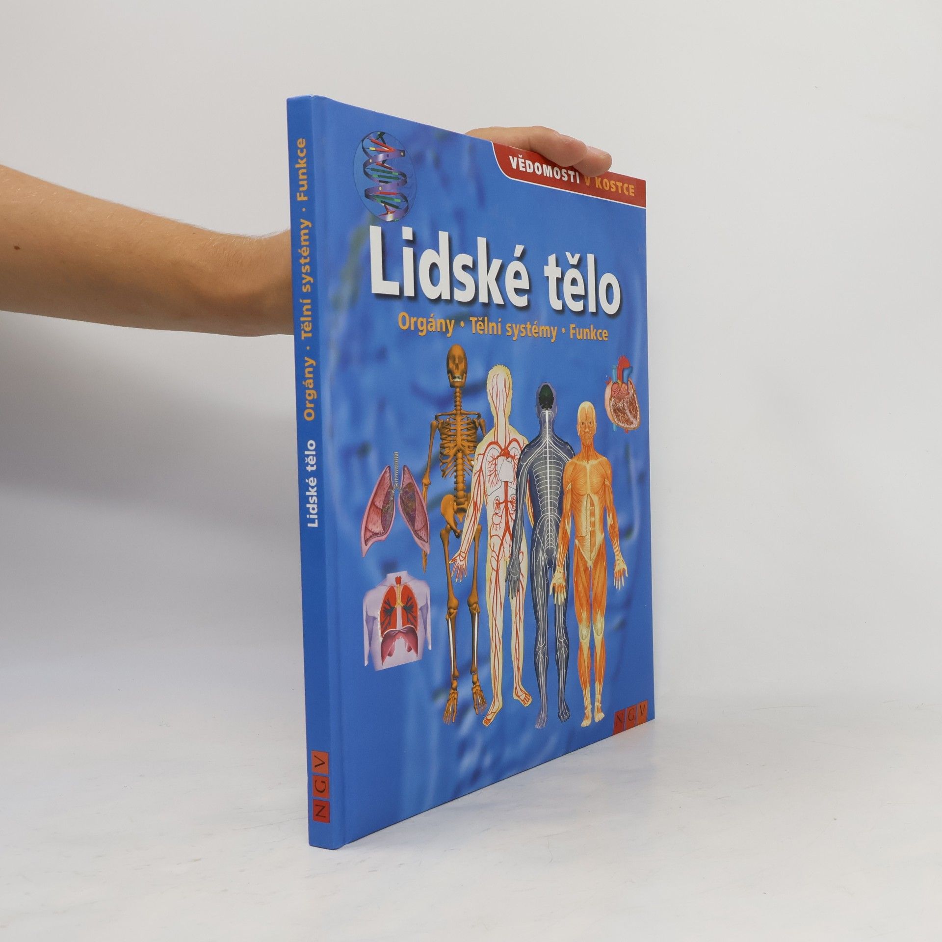 Collectif d'auteurs Lidské tělo. Orgány. Tělní systémy. Funkce
