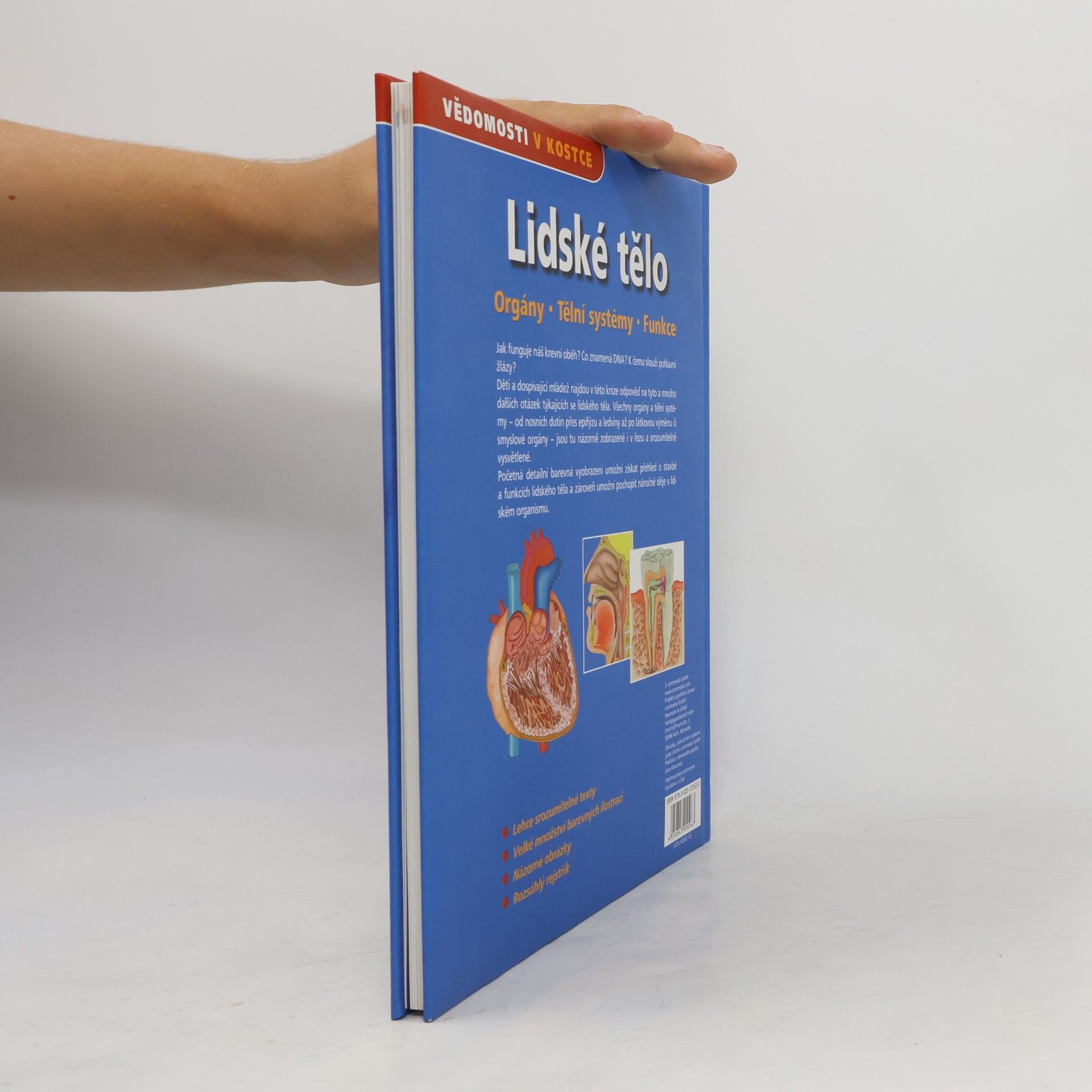 Autorenkollektiv Lidské tělo. Orgány. Tělní systémy. Funkce
