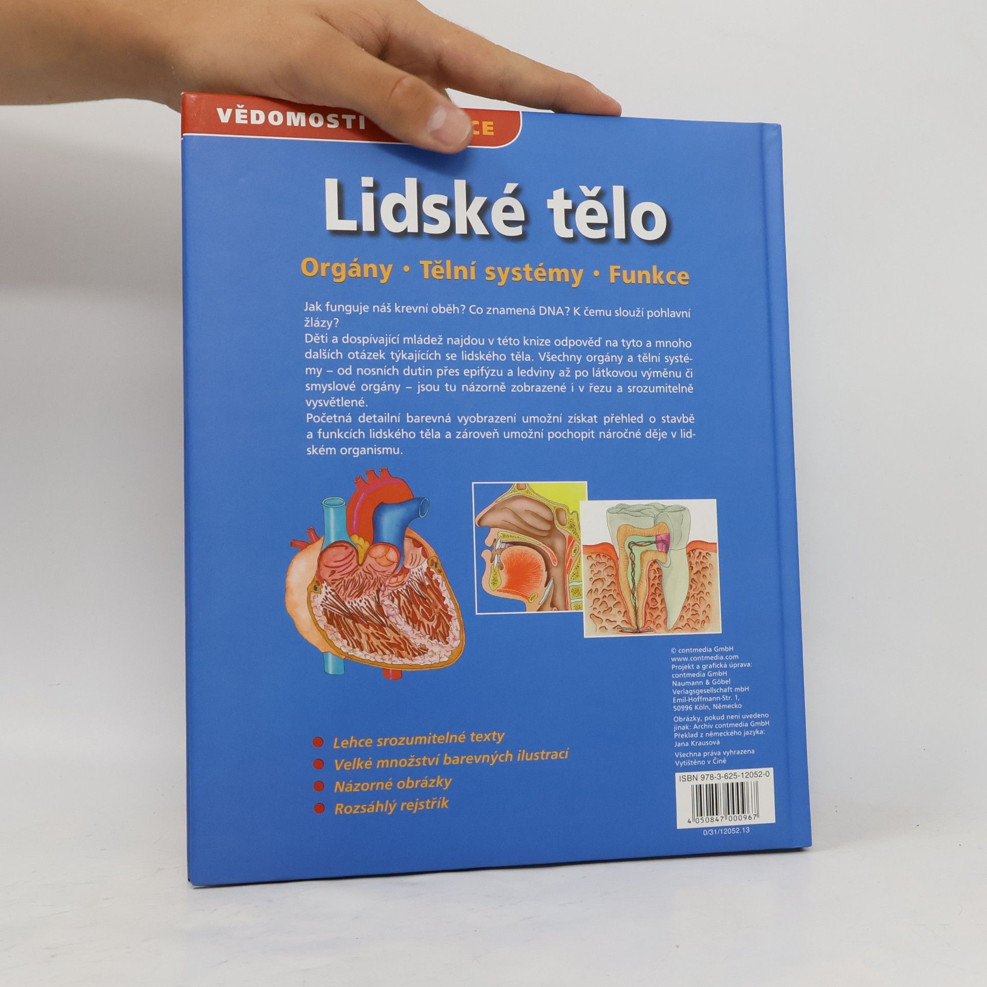 Autorenkollektiv Lidské tělo. Orgány. Tělní systémy. Funkce