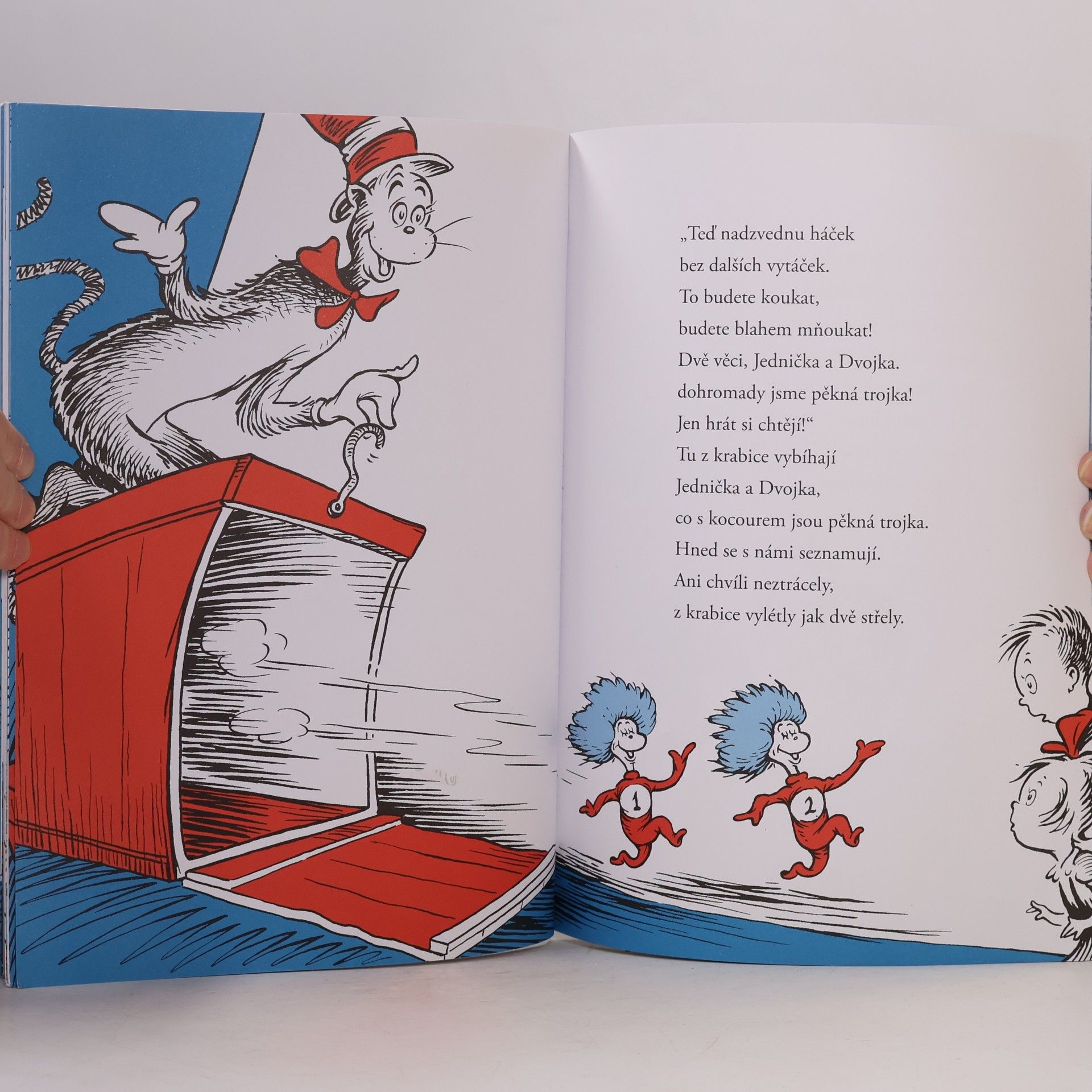 Dr. Seuss Kocour v klobouku
