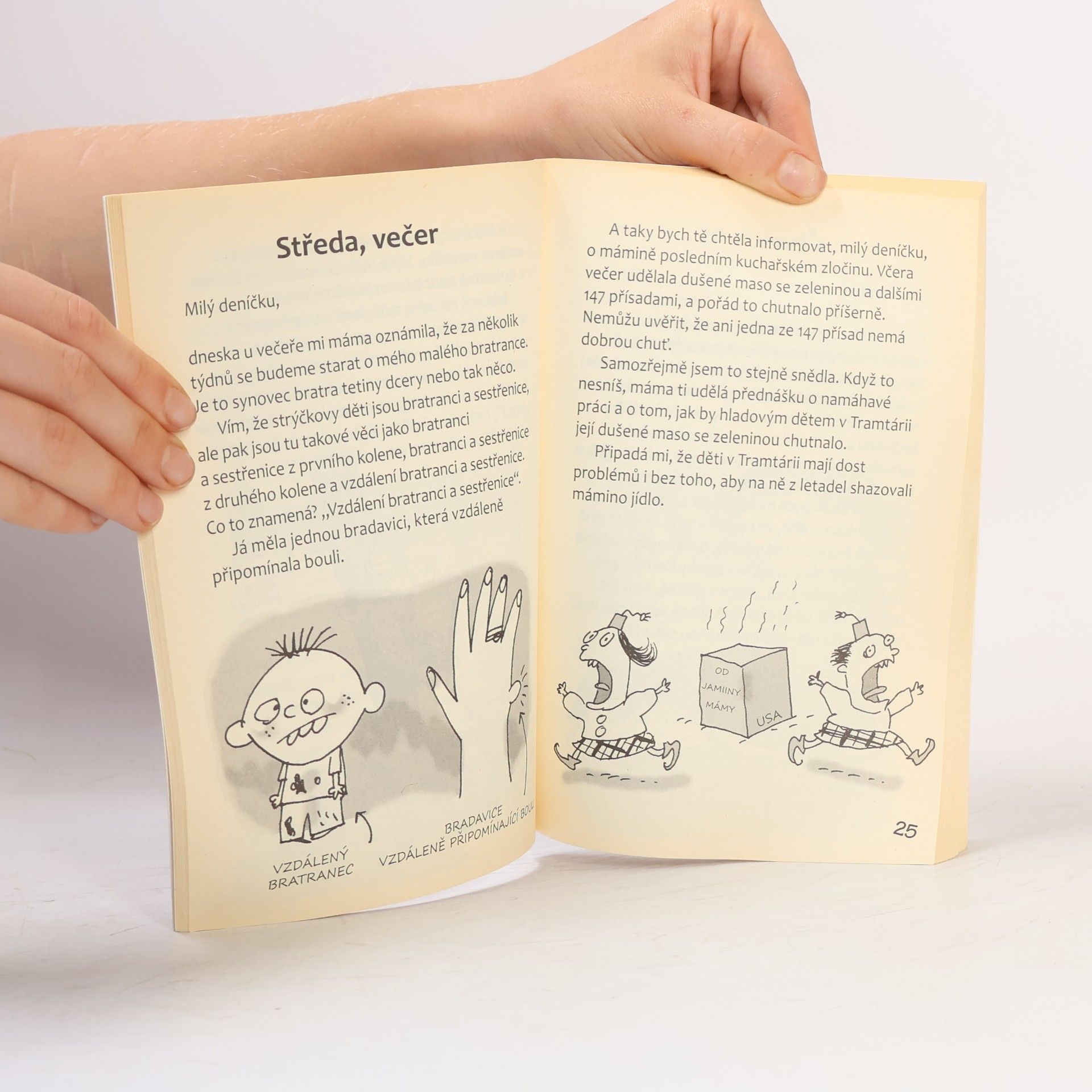 Jim Benton Můj milý deníčku: Příběhy z Mackerelské základní školy. Kluci, škola a další šílenosti