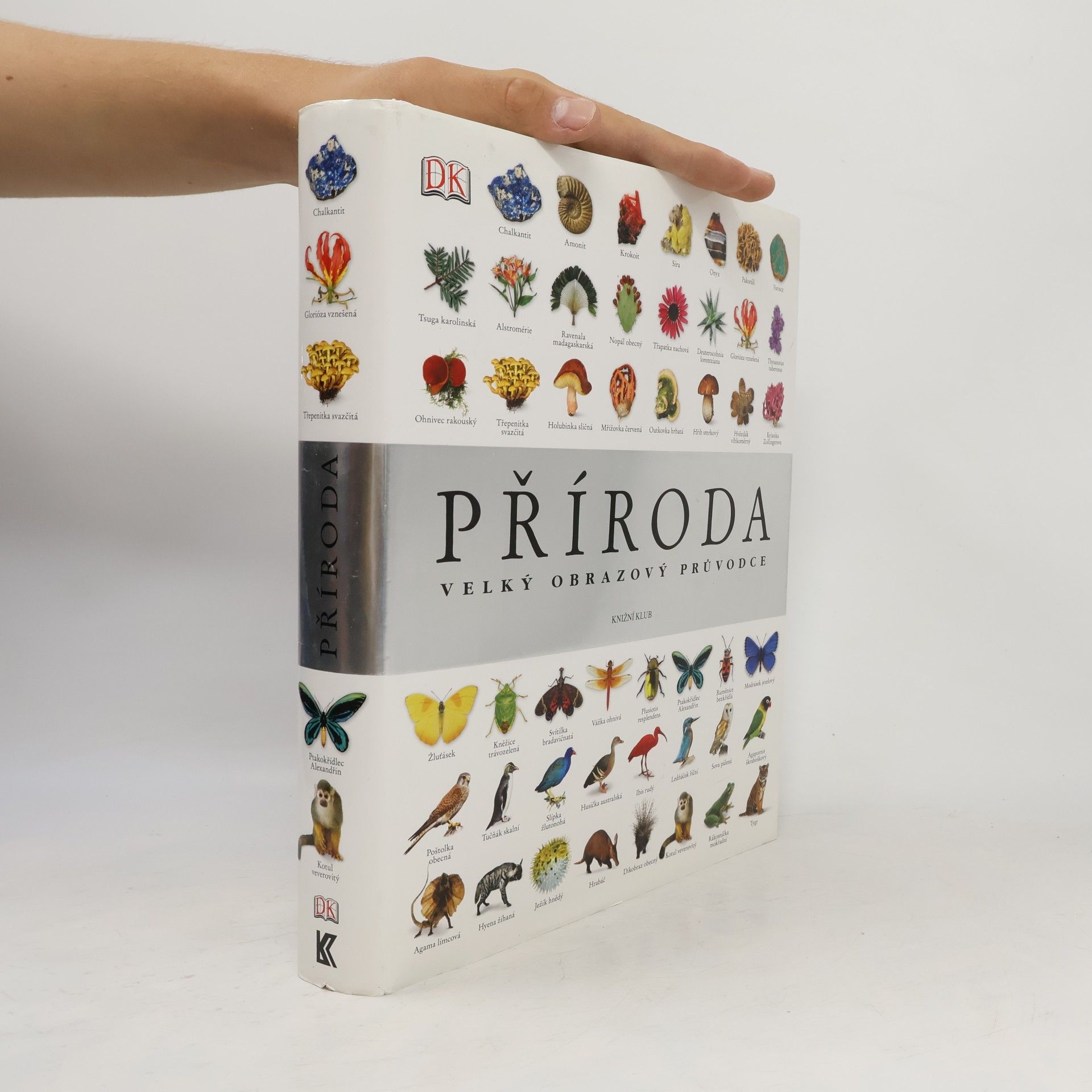Richard Beatty Příroda – Velký obrazový průvodce