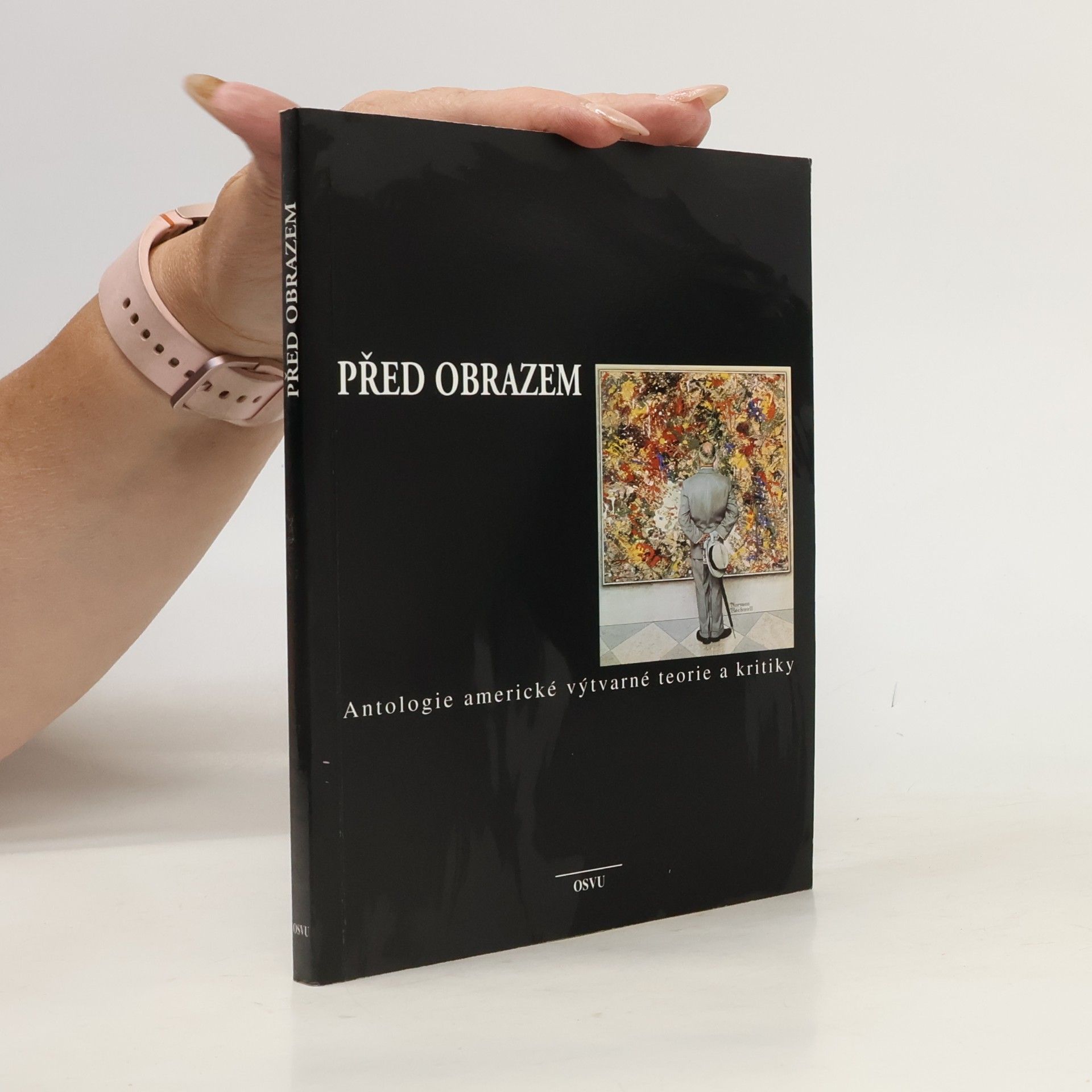 Ruben Pellar Před obrazem. Antologie americké výtvarné teorie a kritiky