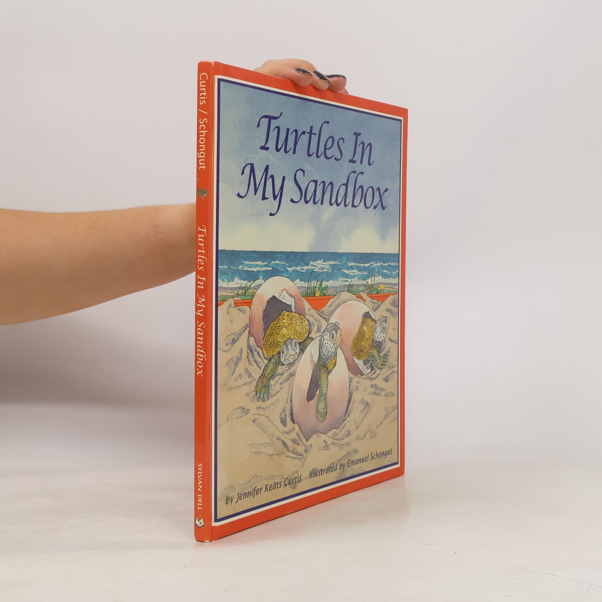 Jennifer Keats Curtis Turtles In My Sandbox