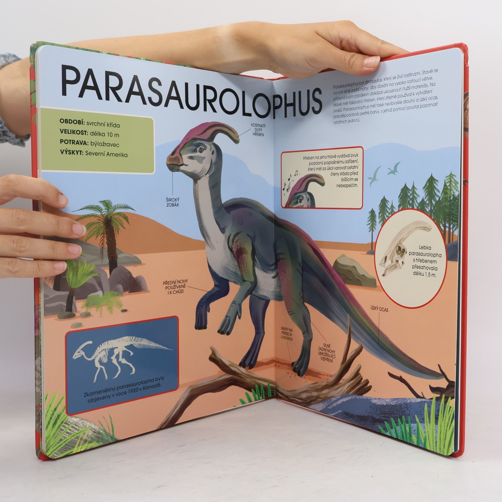 BOOKMEDIA s.r.o. Dinosauři