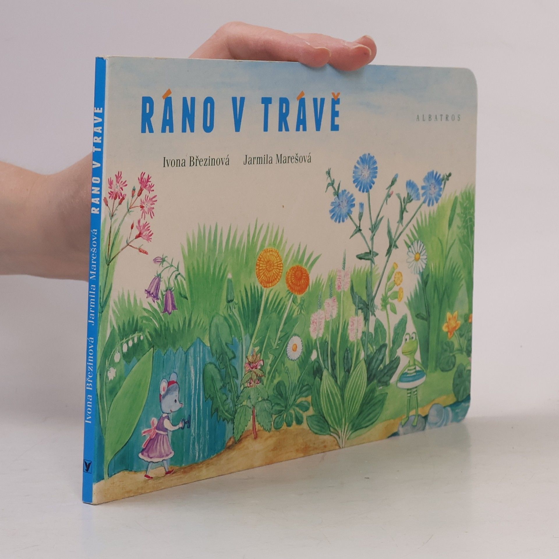 Ivona Březinová Ráno v trávě
