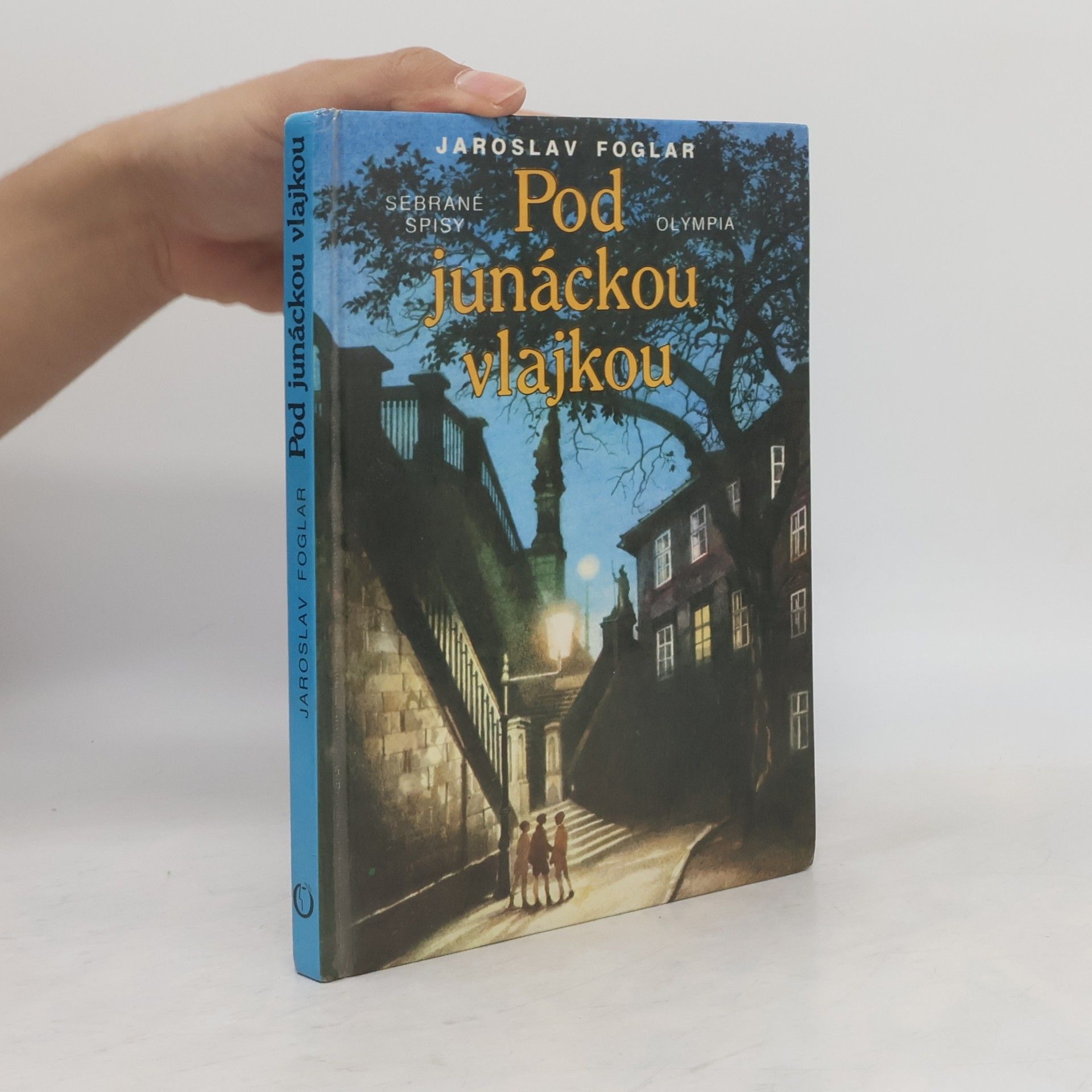 Pod junáckou vlajkou
