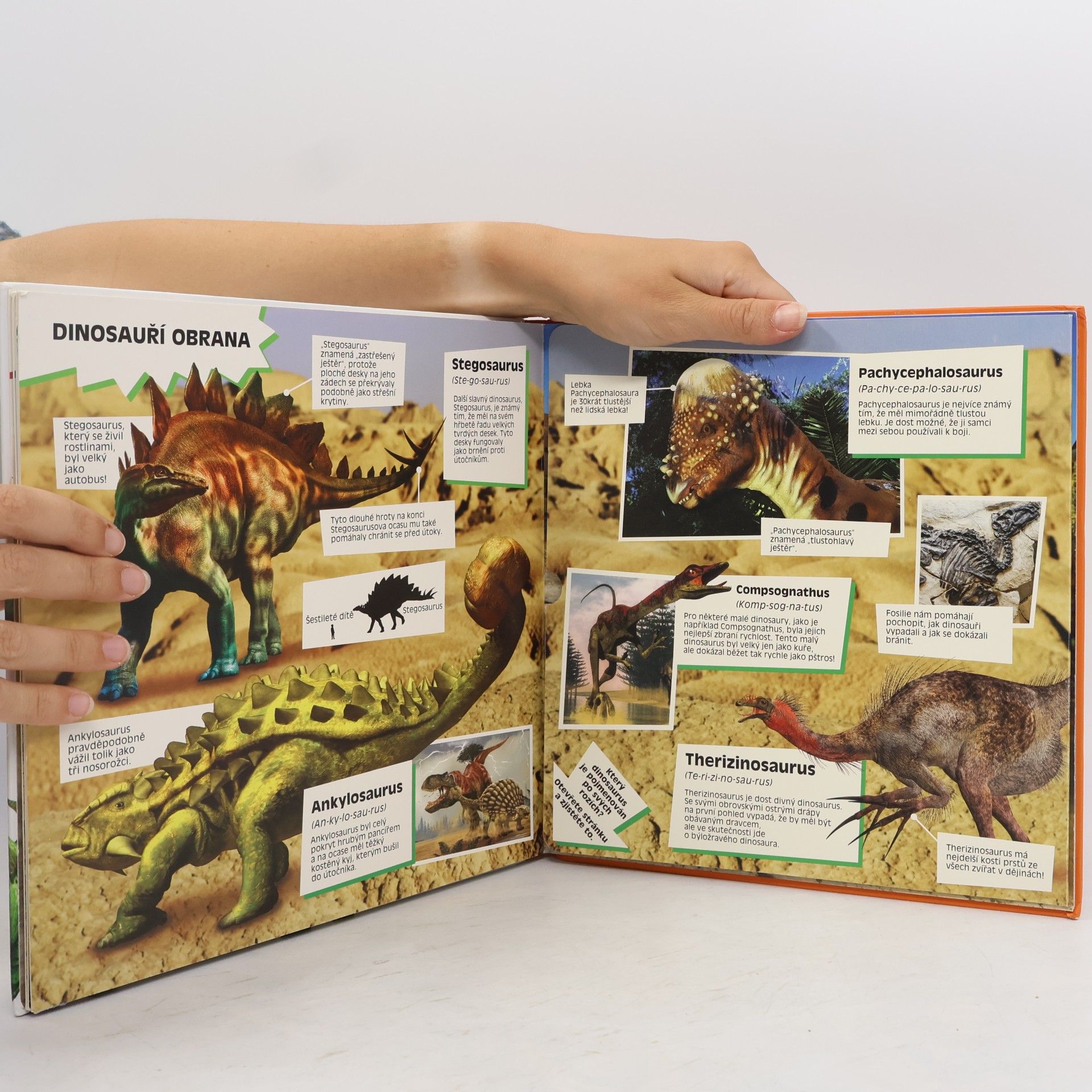 Marek Kurta Úžasní dinosauři : velké rozkládací strany plné faktů