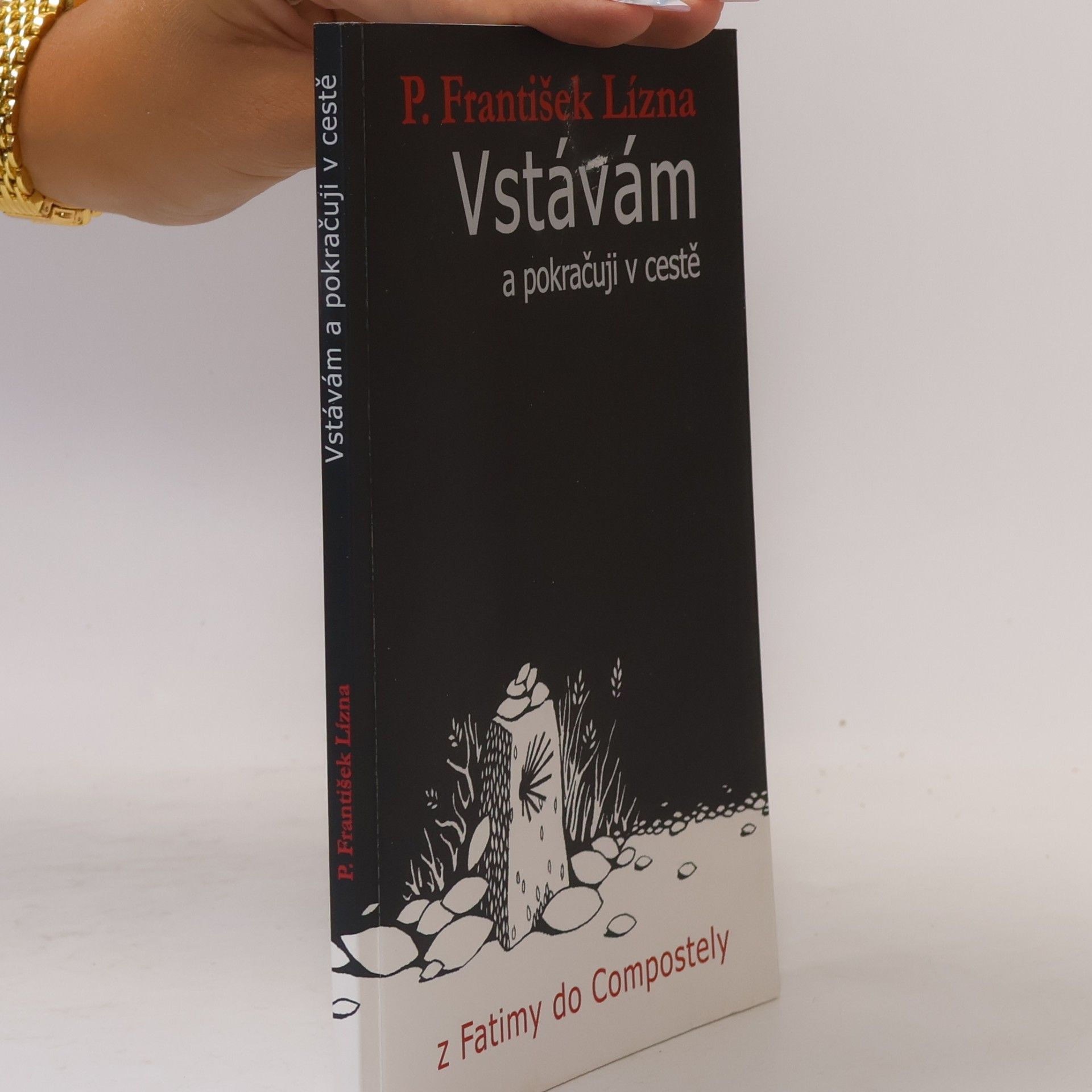 František Lízna Vstávám a pokračuji v cestě