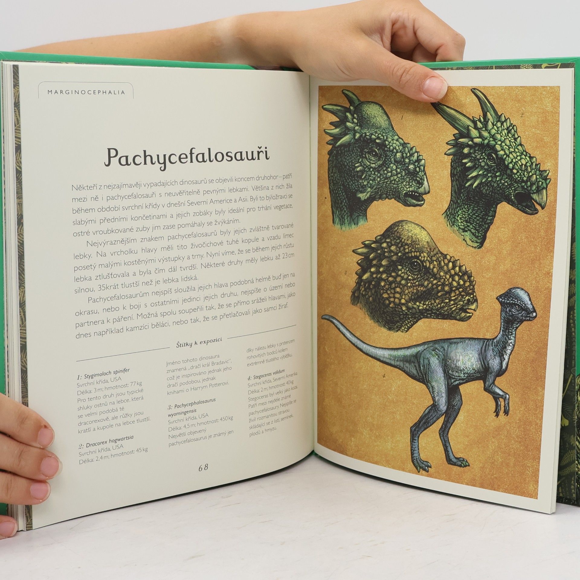 Lily Murray Dinosaurium - pro mladší čtenáře