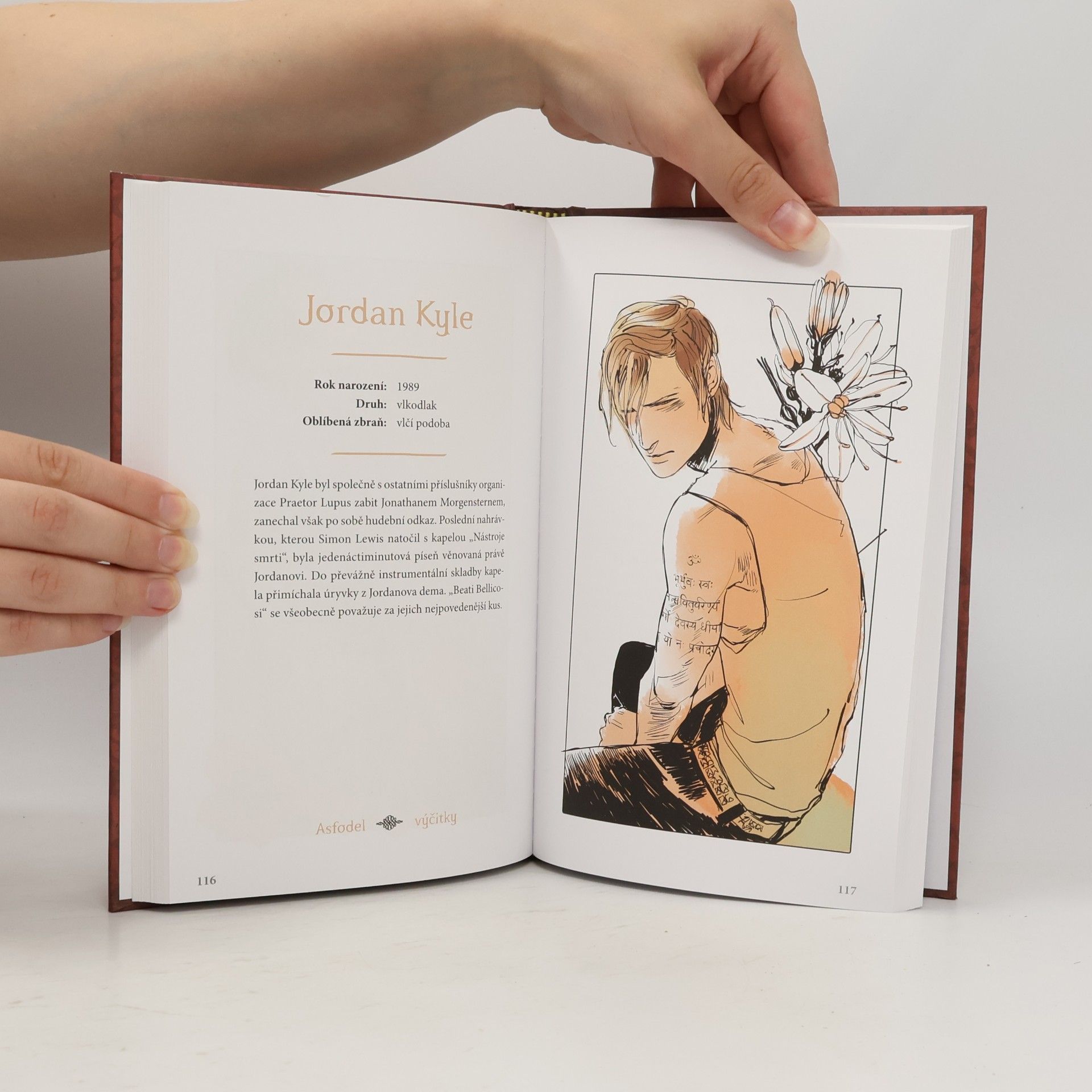 Cassandra Clare Kdo je kdo ve světě stínů