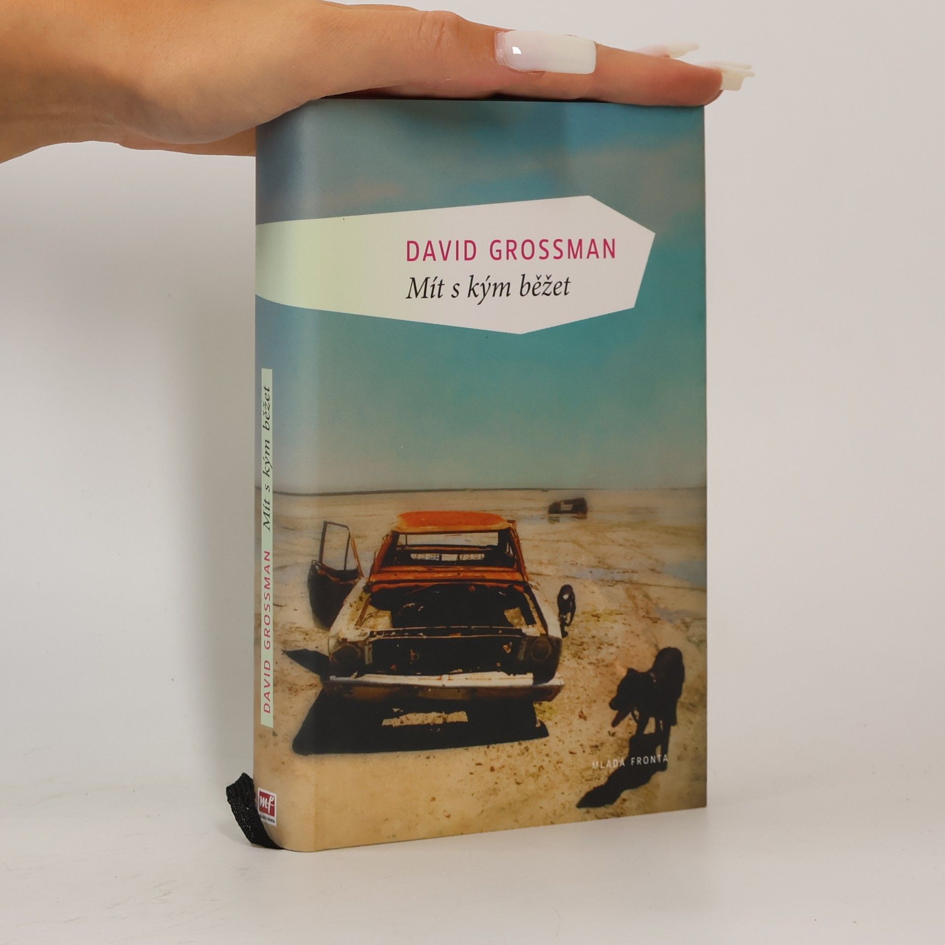David Grossman Mít s kým běžet