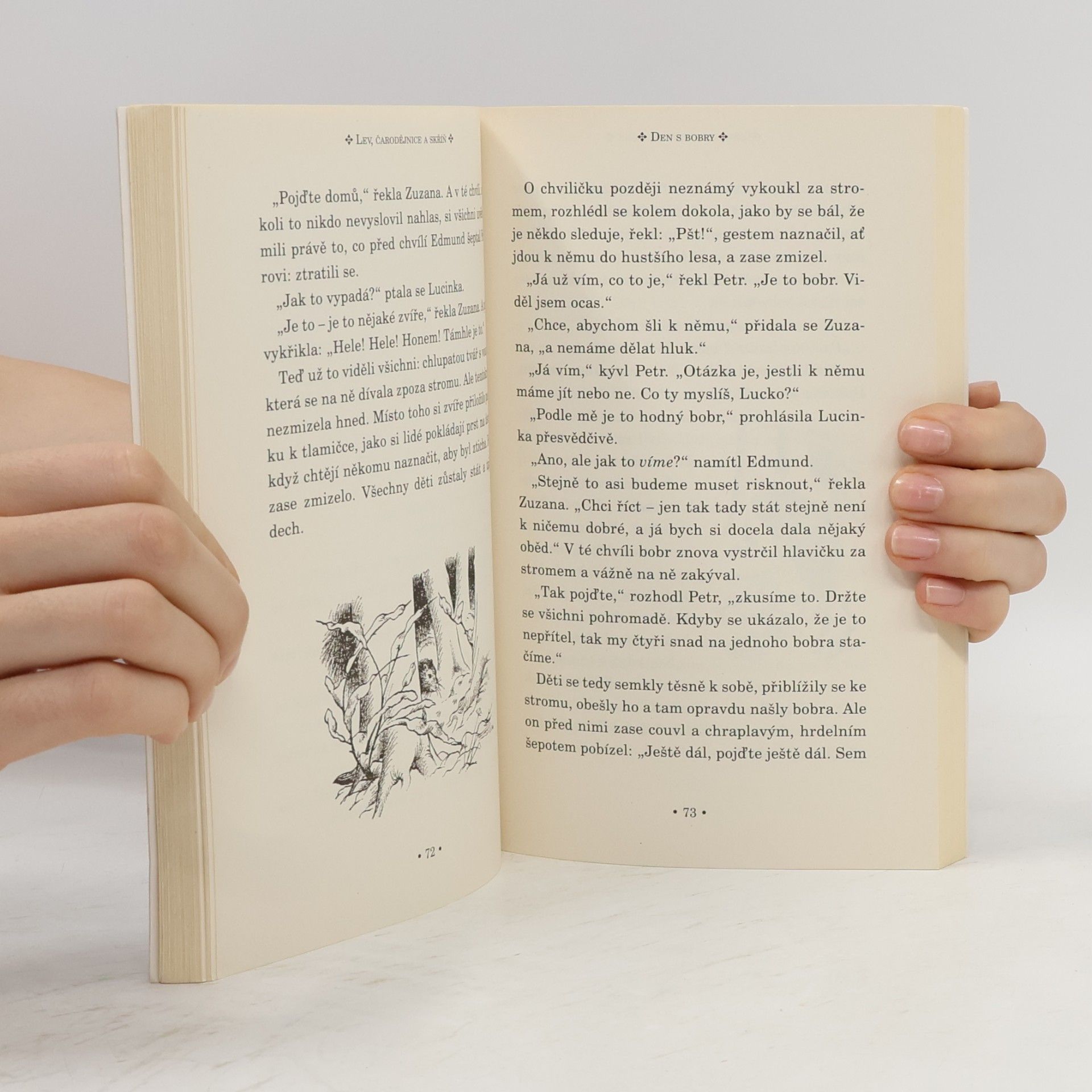 C. S. Lewis Lev, čarodějnice a skříň. Letopisy Narnie