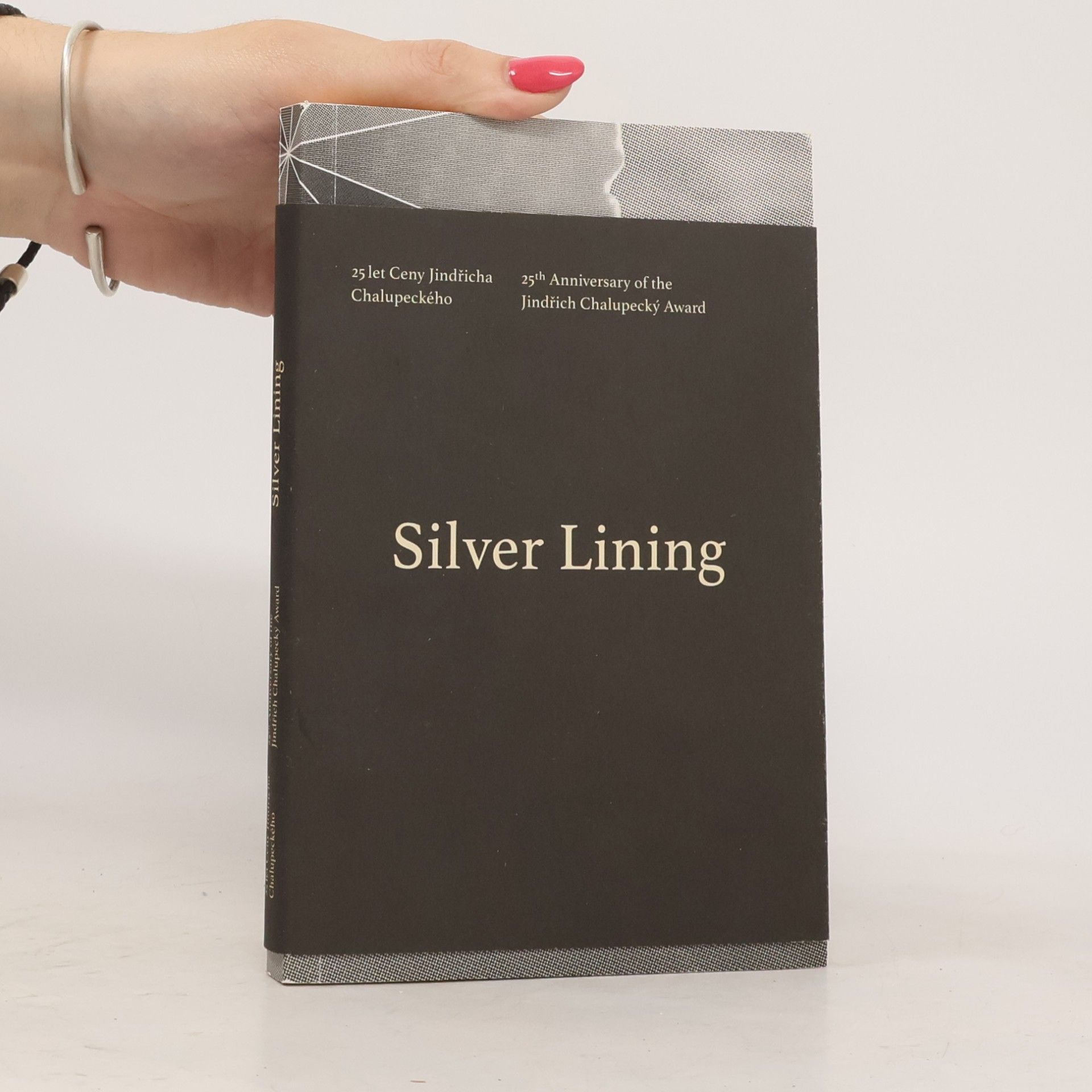 Autores varios Silver Lining. 25. výročí Ceny Jindřicha Chalupeckého