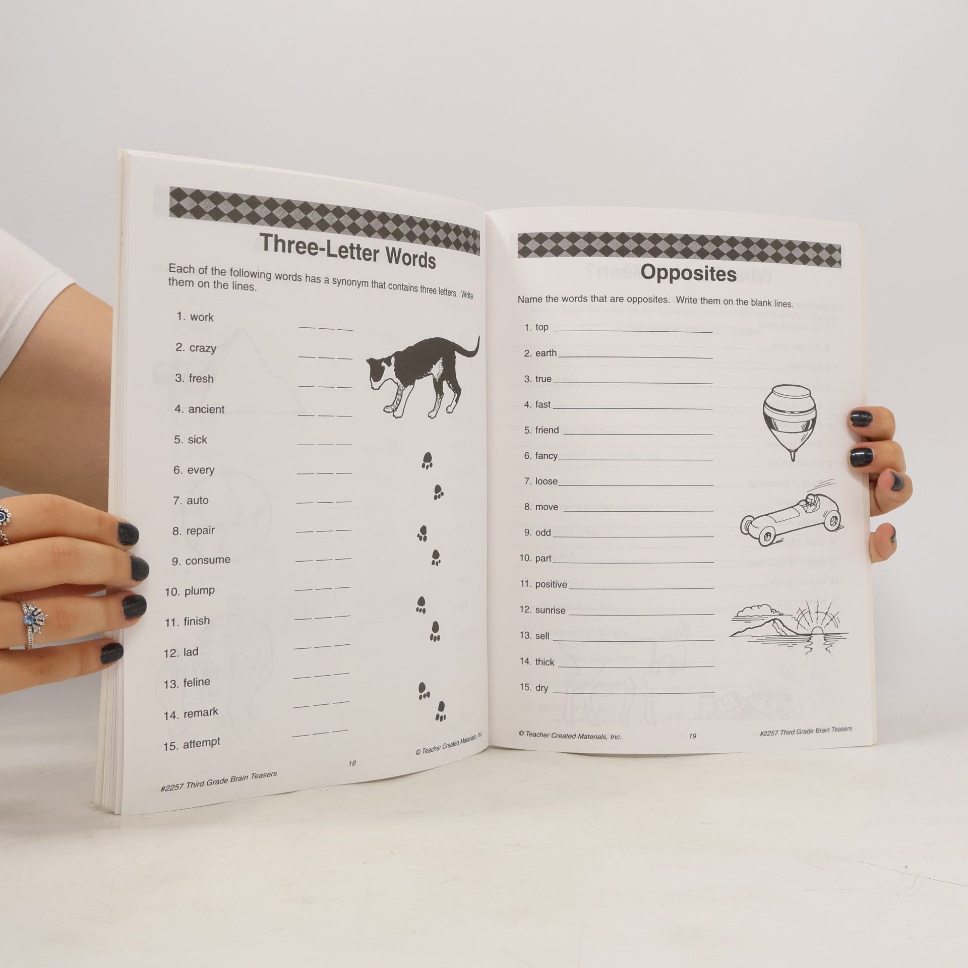 Michael Levin Brain Teasers Series - 3: Brain Teasers, Grade 3 Workbook