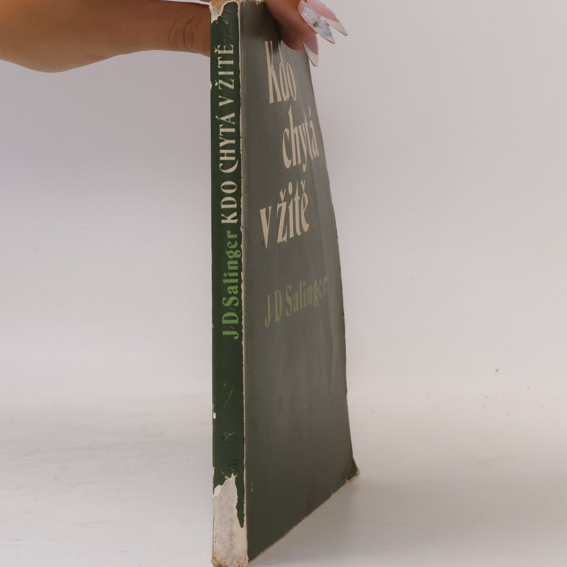 J. D. Salinger Kdo chytá v žitě