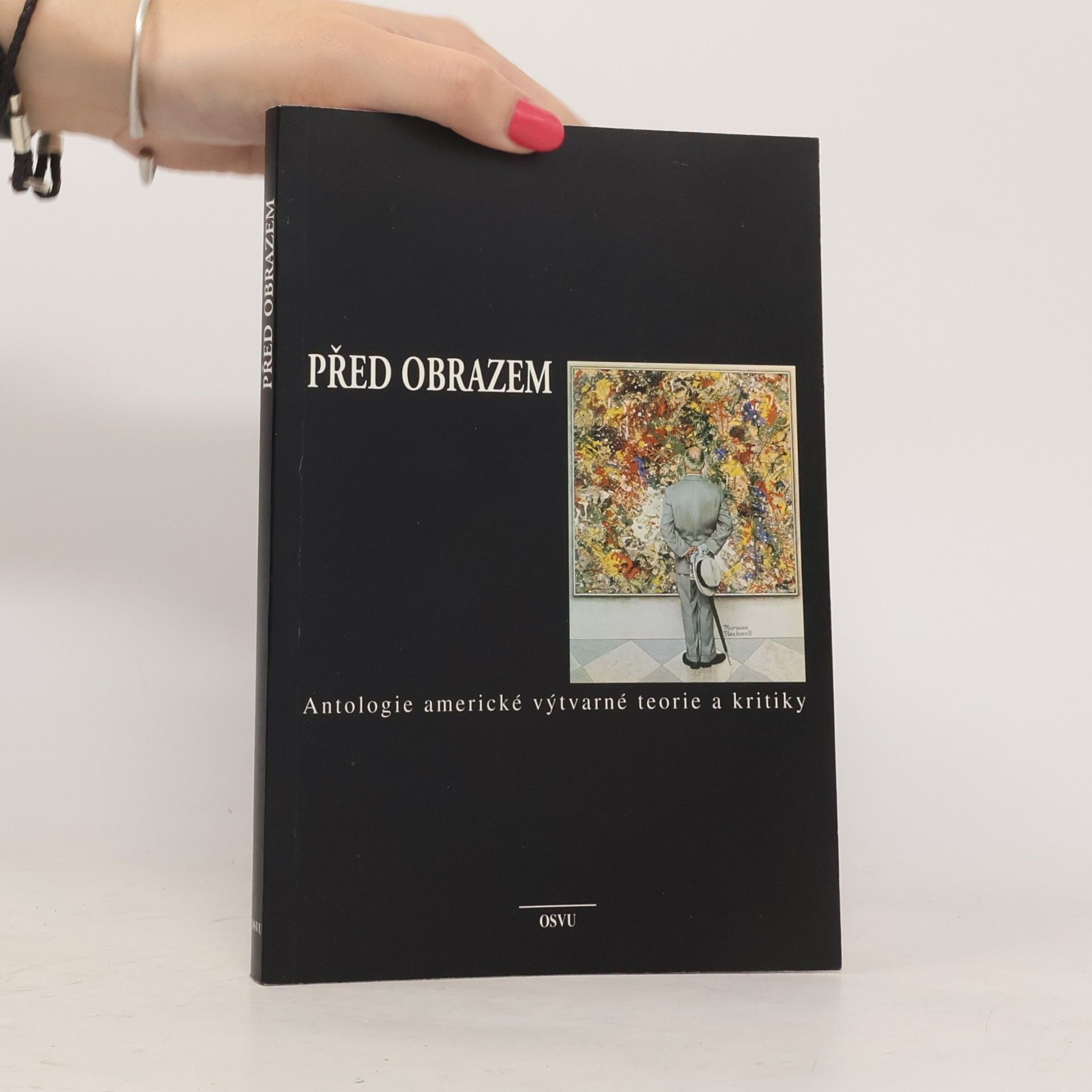 Ruben Pellar Před obrazem. Antologie americké výtvarné teorie a kritiky