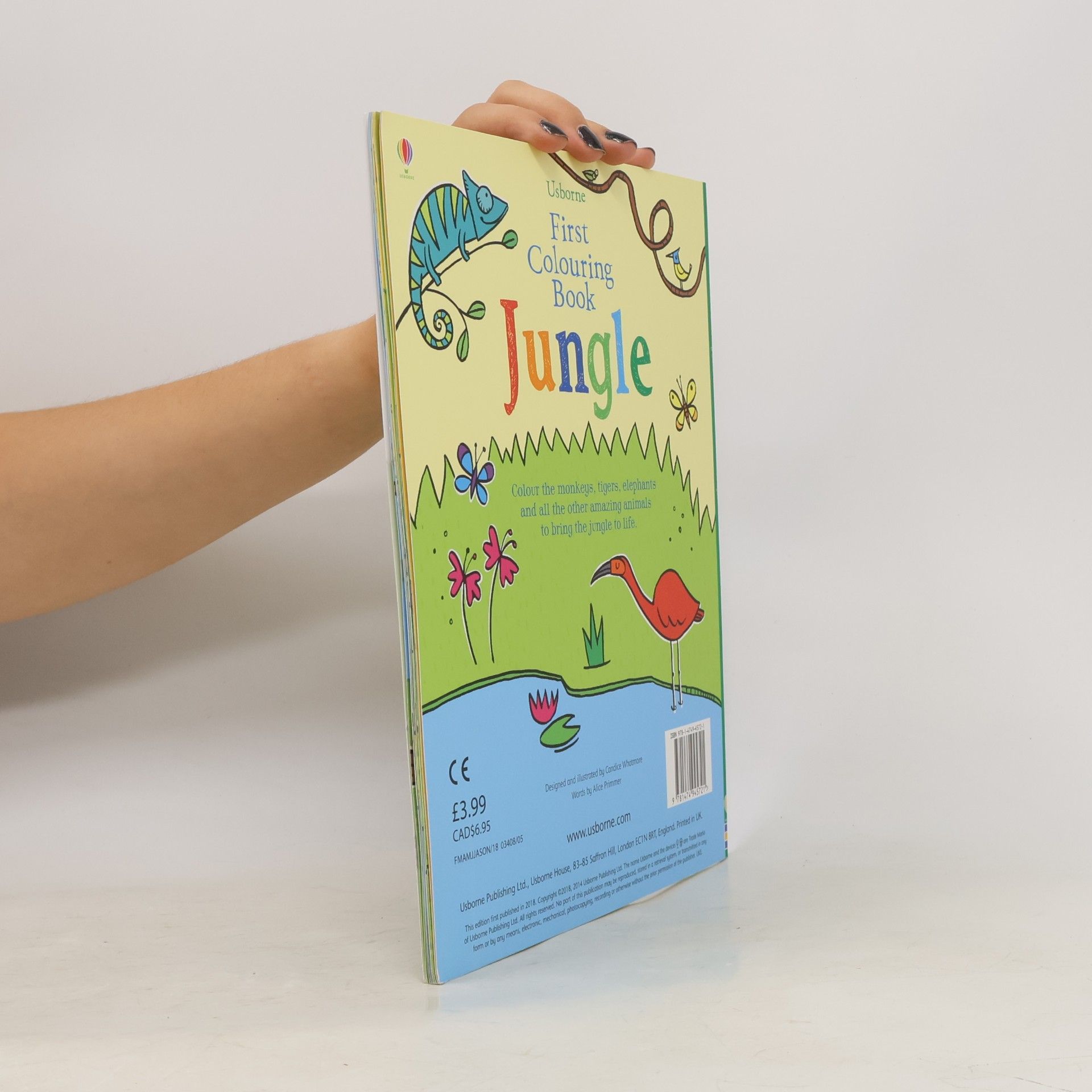 Alice Primmer First Colouring Book Jungle