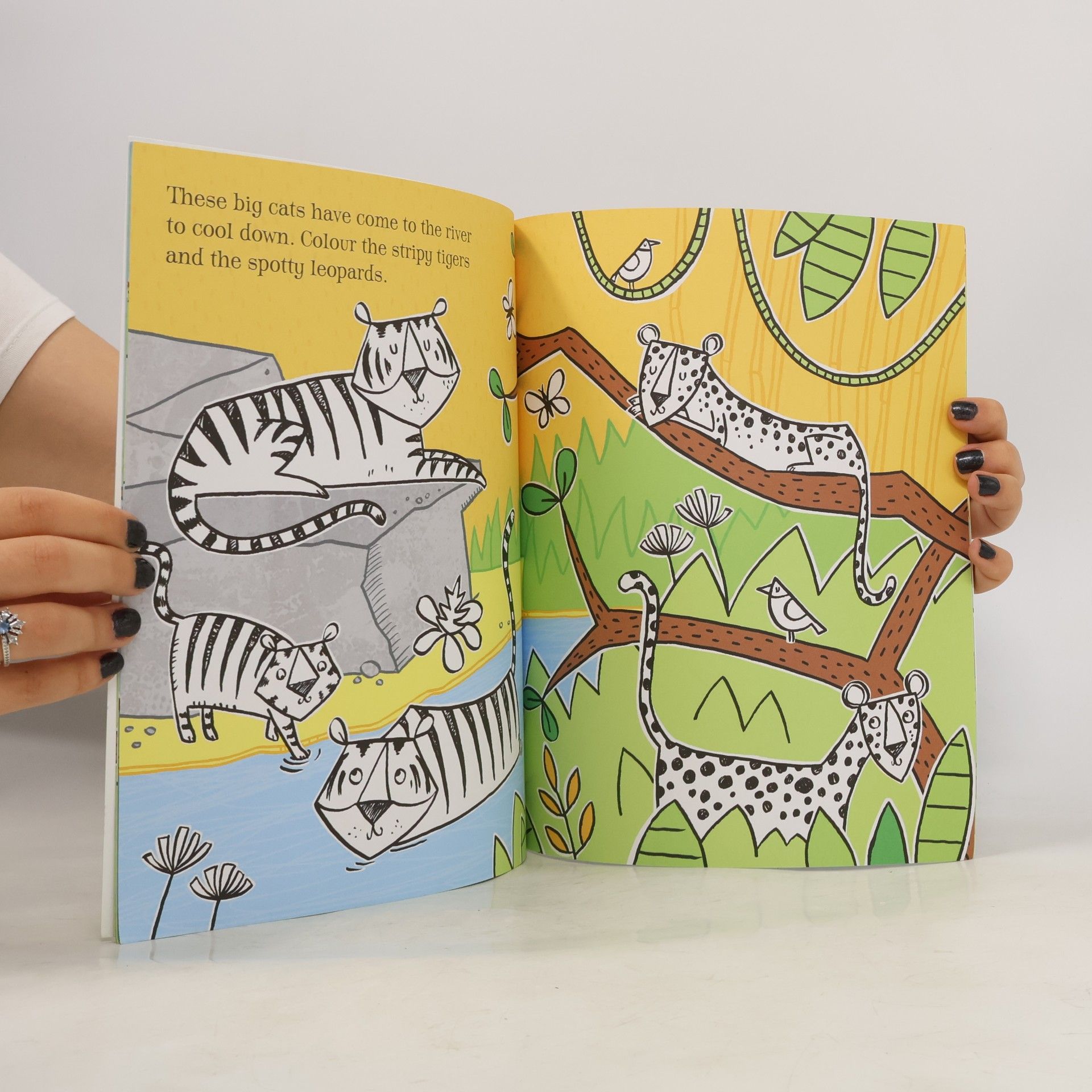 Alice Primmer First Colouring Book Jungle