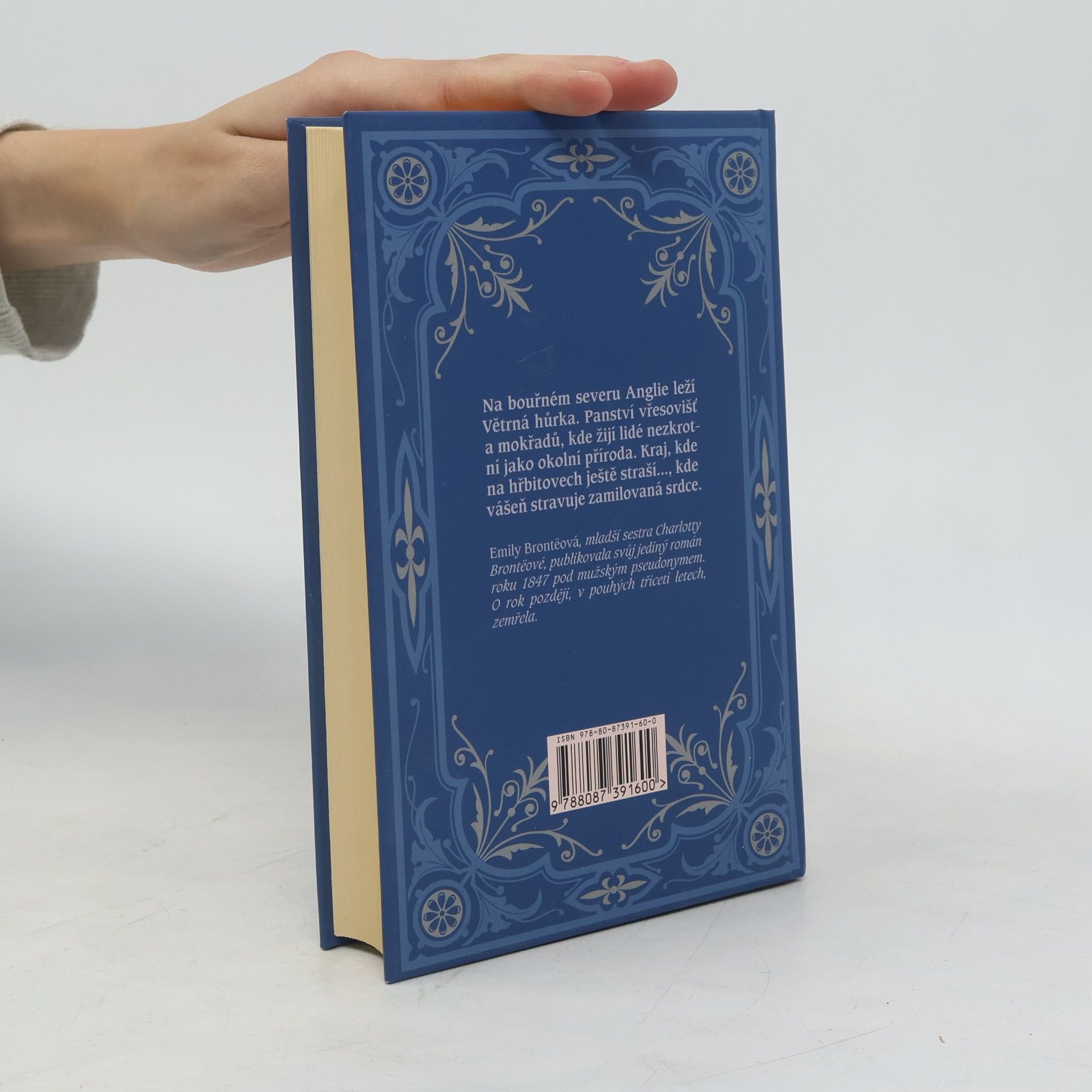 Emily Brontë Na větrné hůrce
