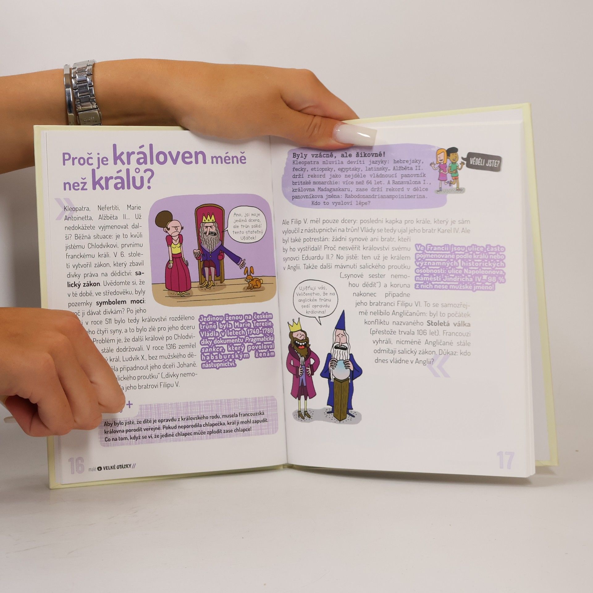 Géraldine Maincent Holky a kluci - v čem je rozdíl? : a všechny další otázky na téma, jak zatočit s nejrozšířenějšími mýty