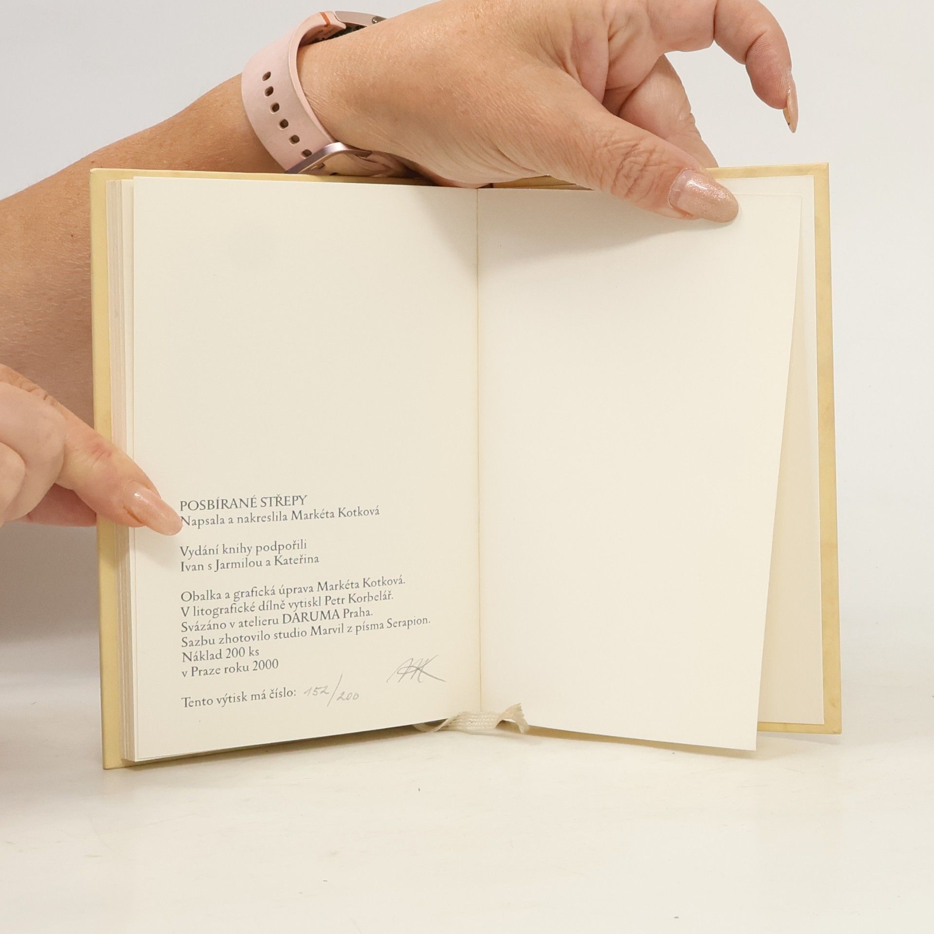Markéta Kotková Posbírané střepy