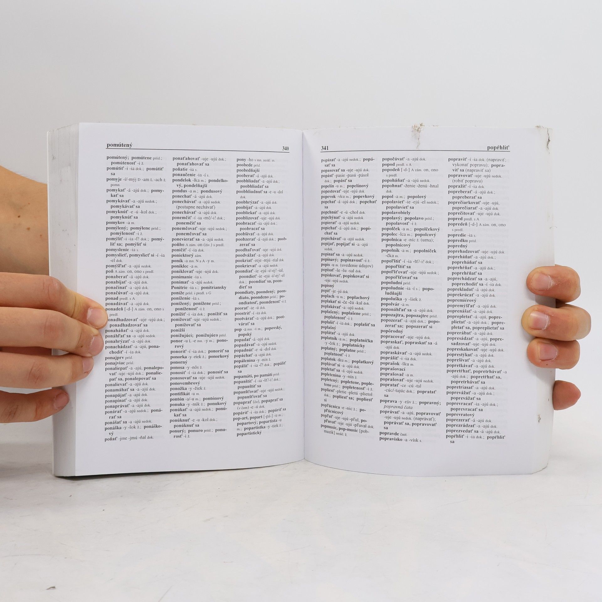 Kolektiv autorů Pravidlá slovenského pravopisu
