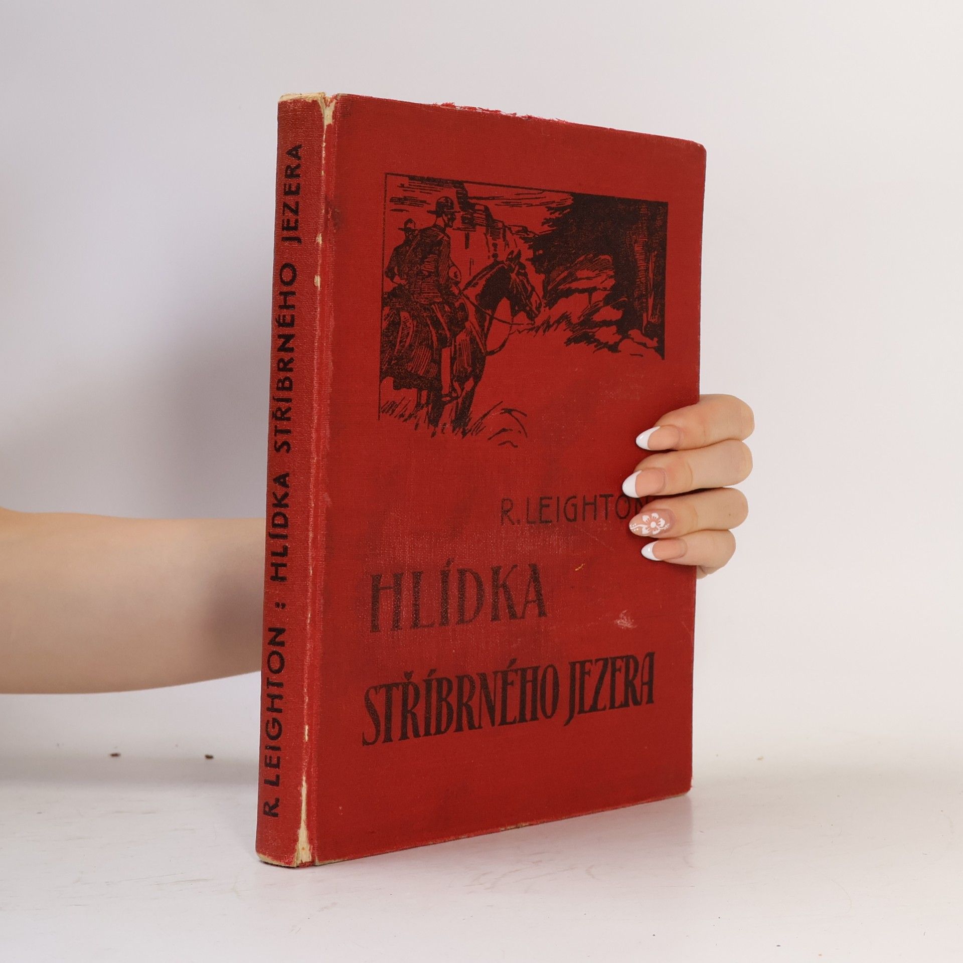 Hlídka stříbrného jezera