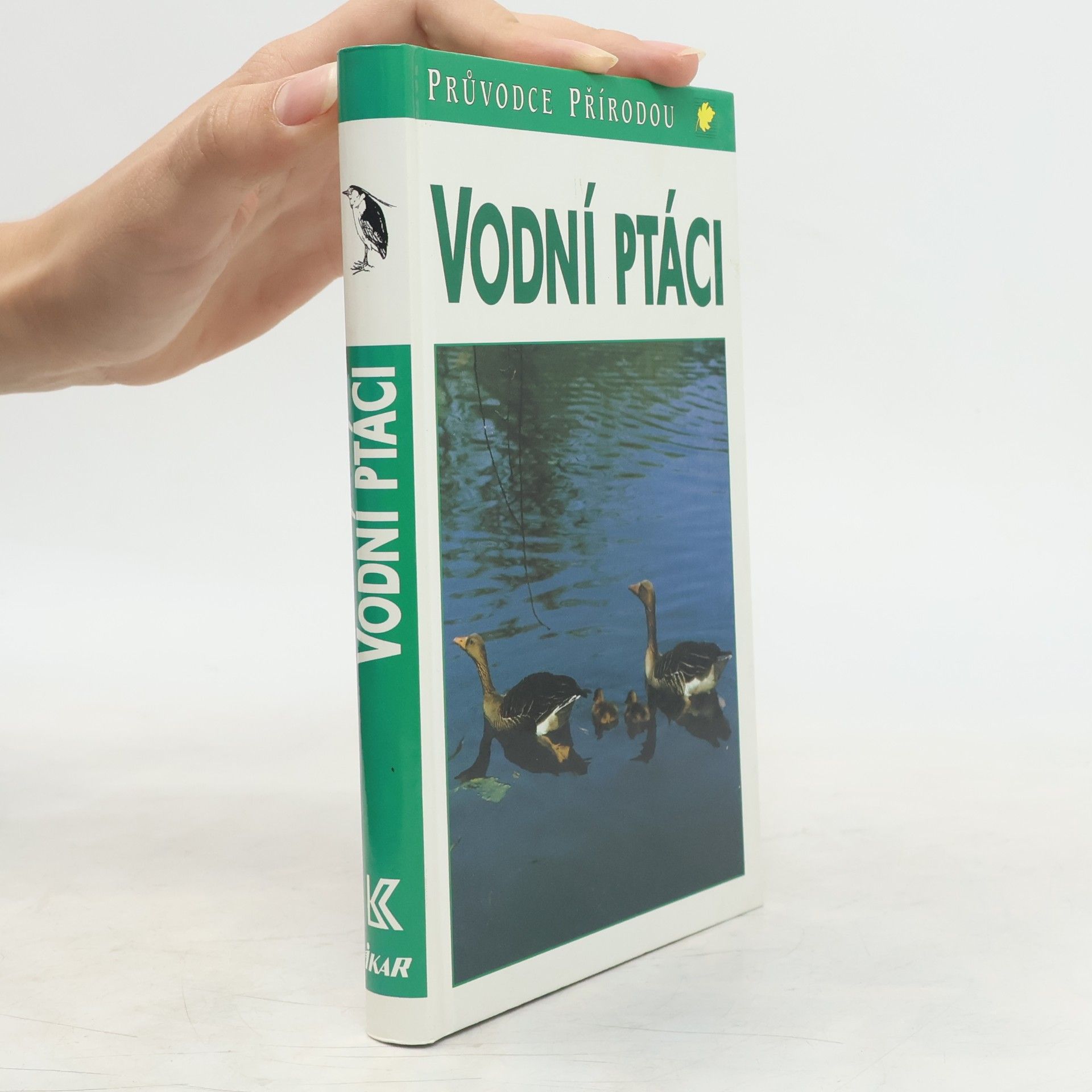 Friedhelm Sauer Vodní ptáci
