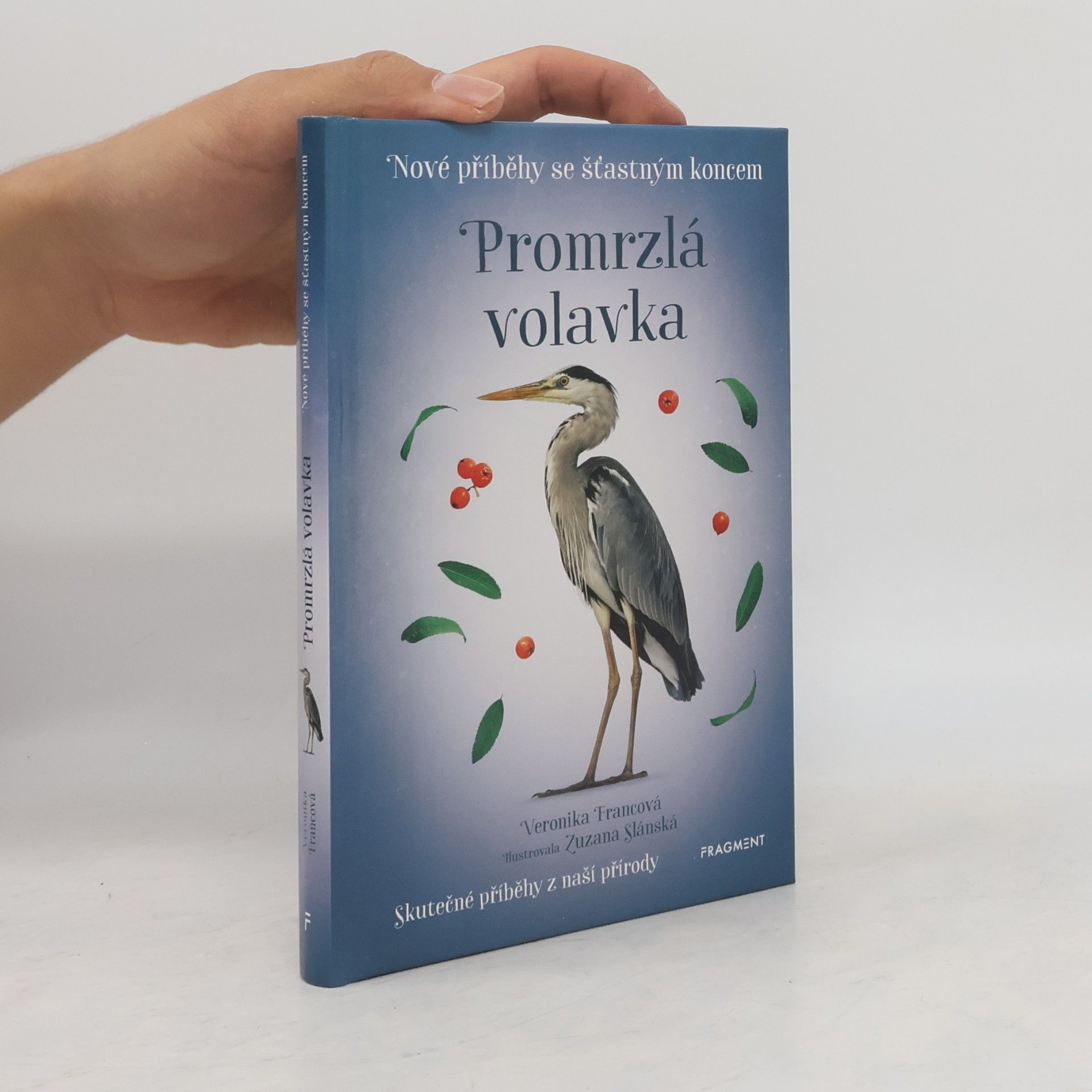 Promrzlá volavka