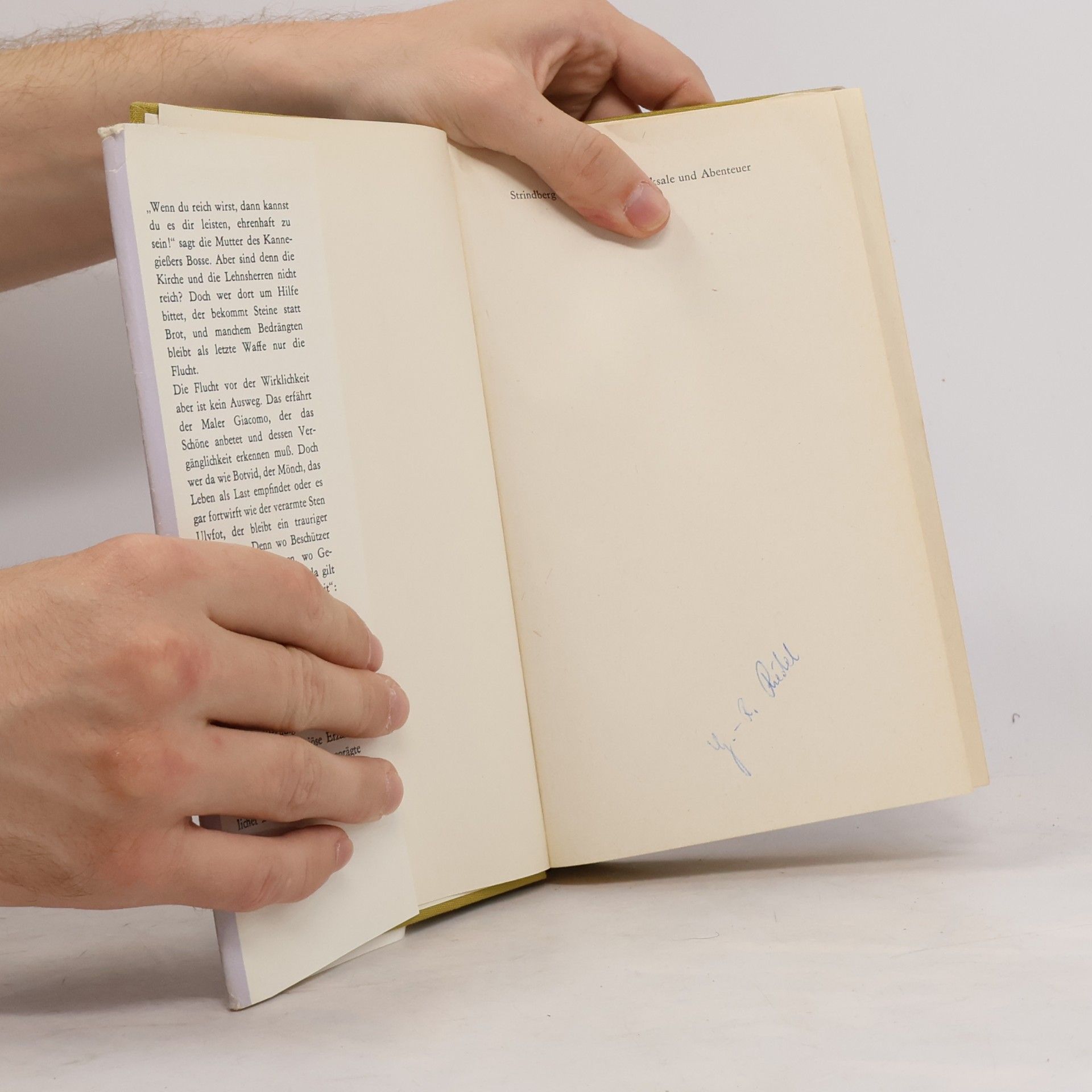 August Strindberg Schwedische Schicksale und Abenteuer