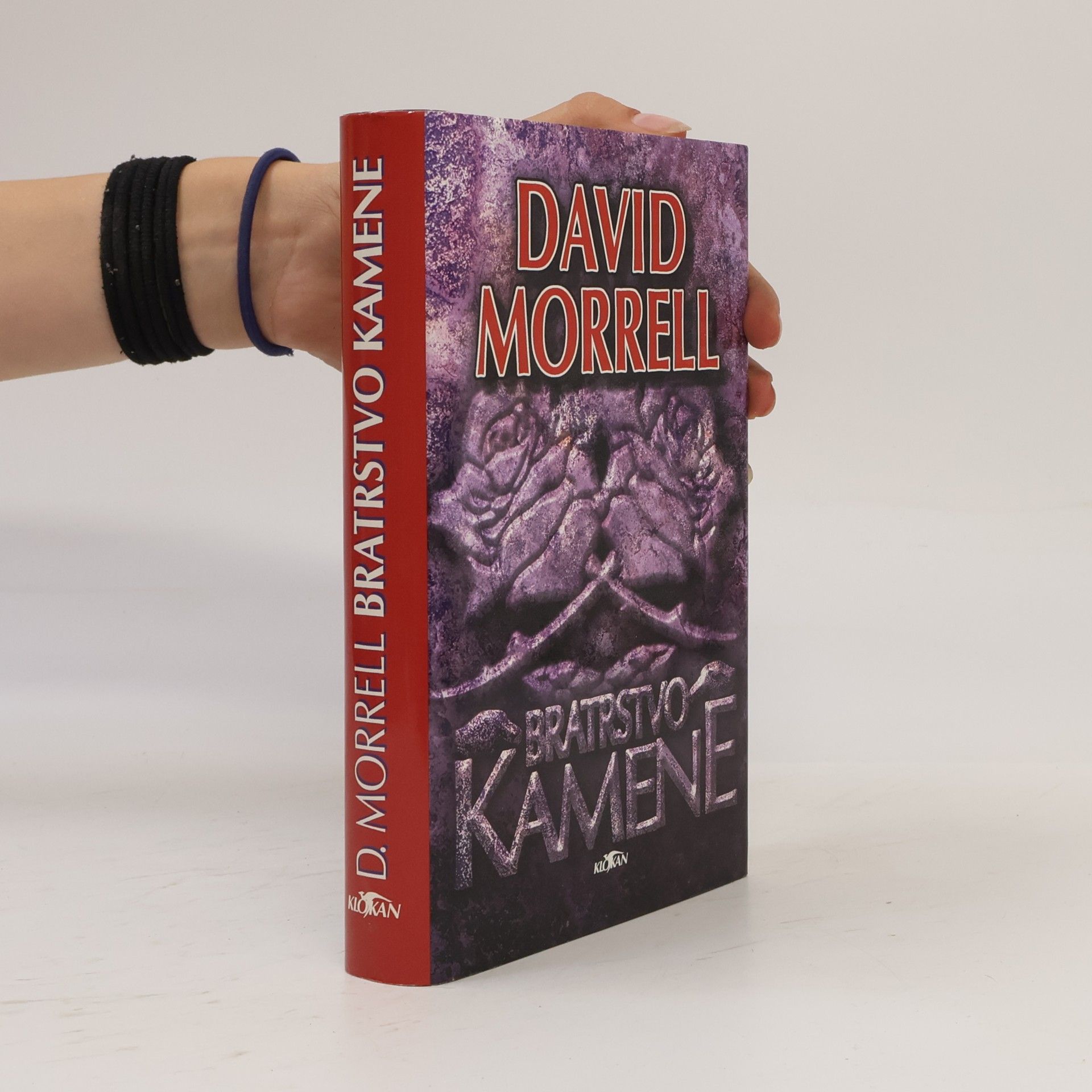 David Morrell Bratrstvo kamene