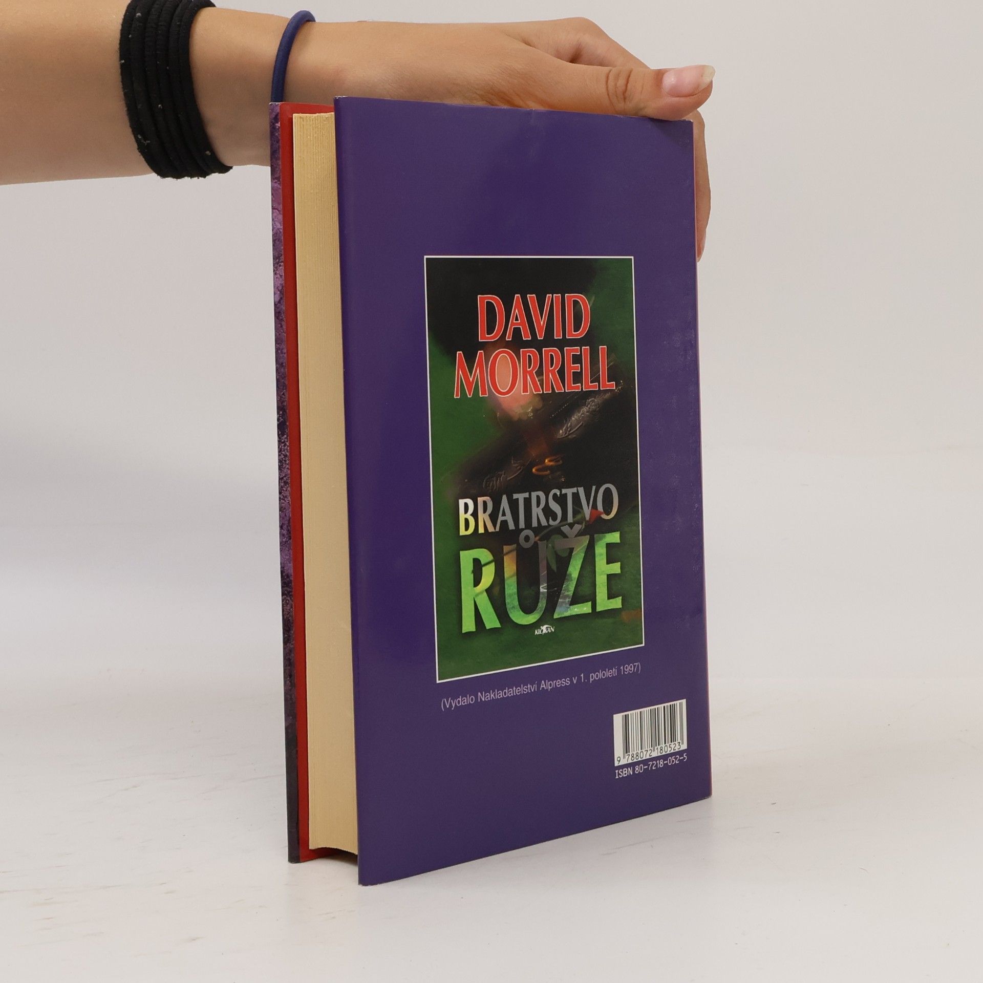 David Morrell Bratrstvo kamene