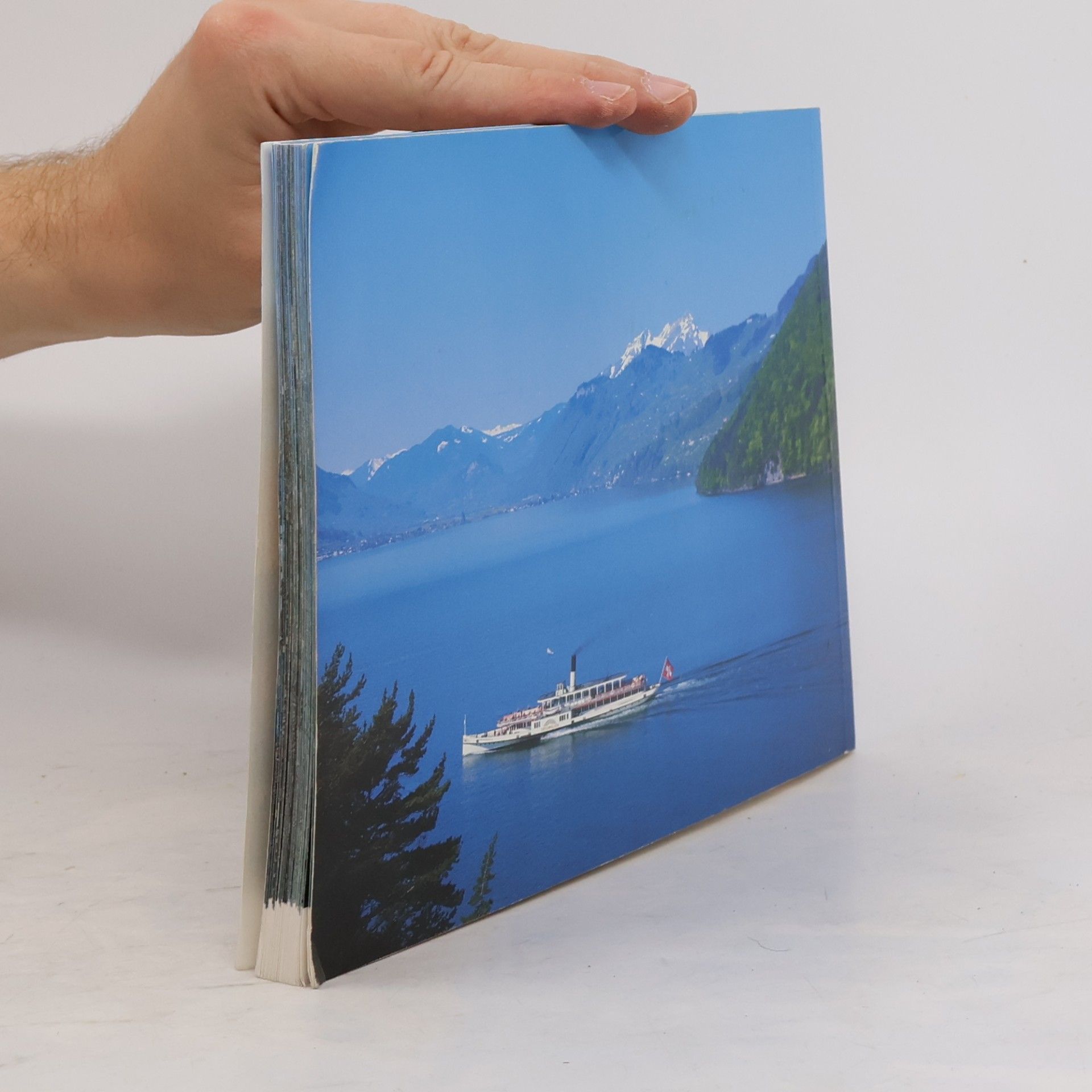Autores varios Luzern und Vierwaldstättersee. Lucerne and Lake of Lucerne. Lucerne et Lac des Quatre Cantons. Lucerna e il Lago dei Quattro Cantoni. Lucerna y el Lago de los Quatro Kantones. ルツェルンとフィーアヴァルトシュテッター湖