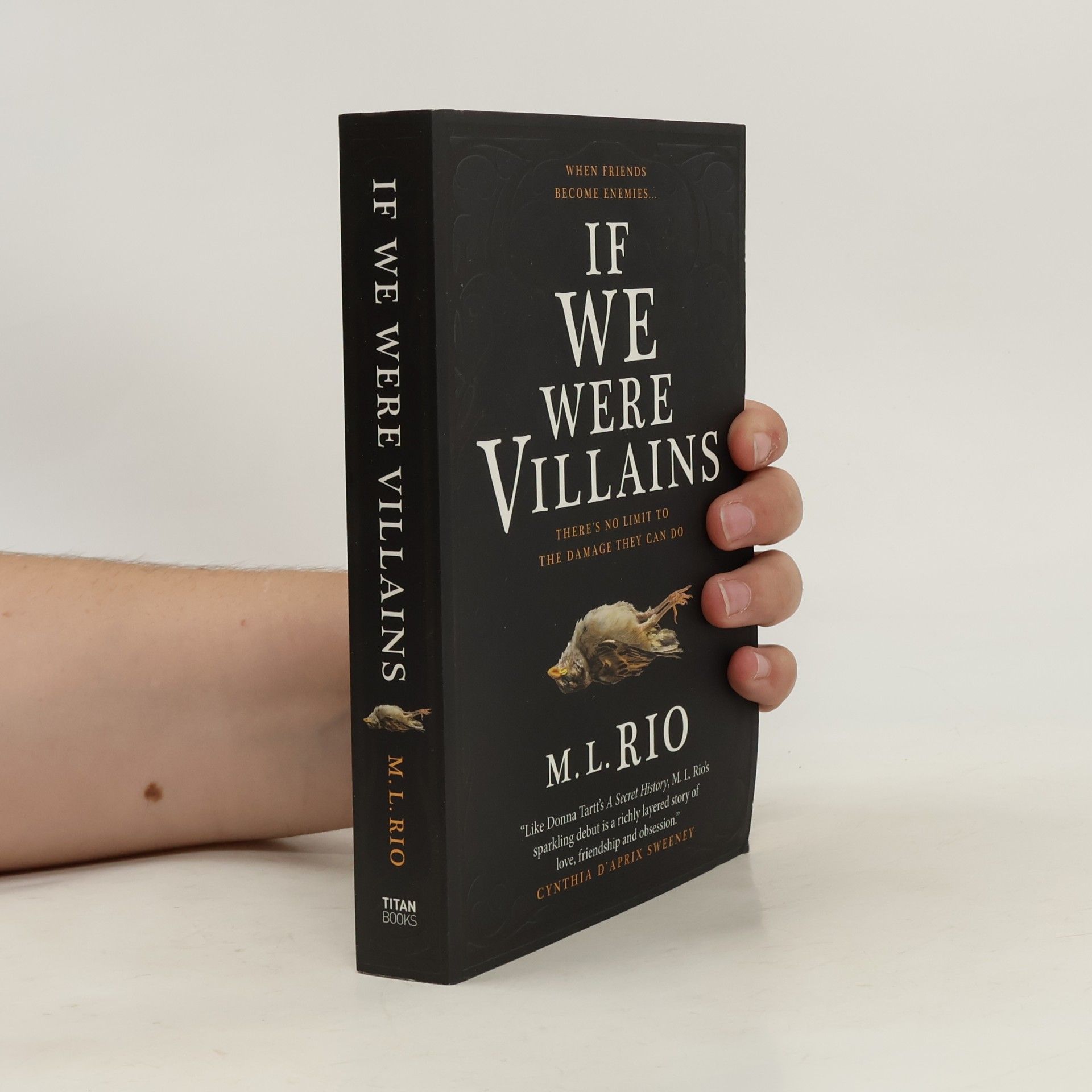 M. L. Rio If We Were Villains