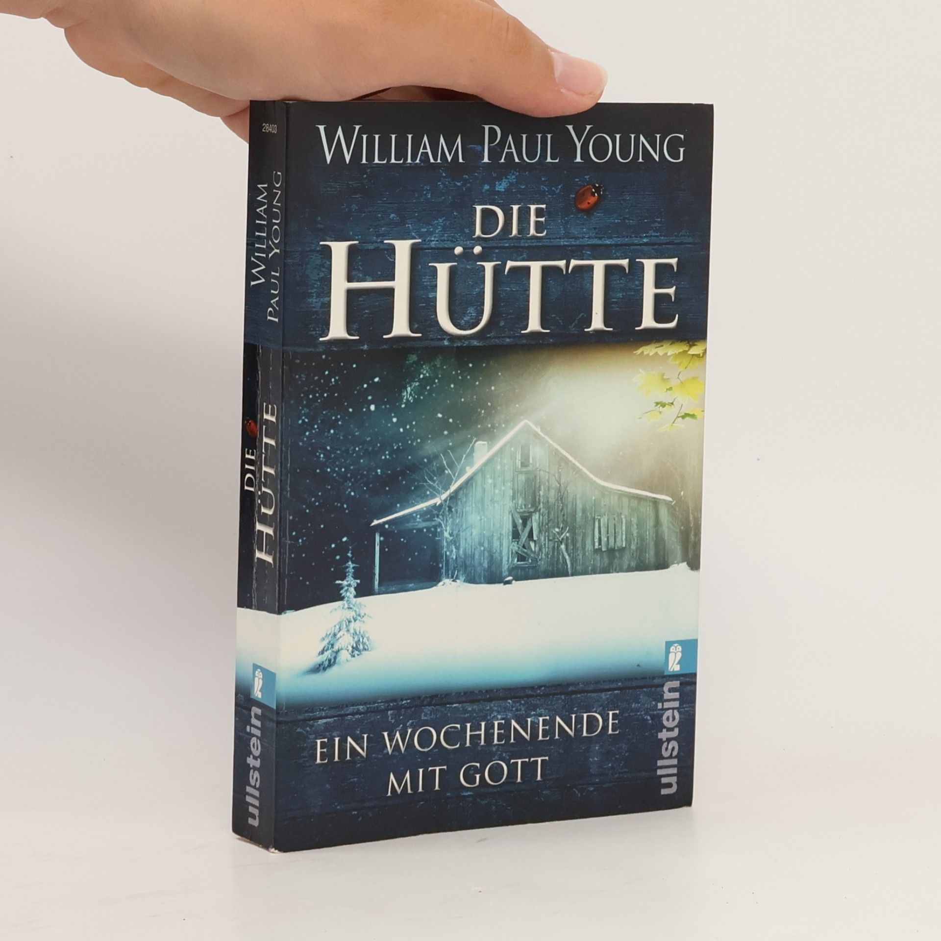 William P. Young Die Hütte