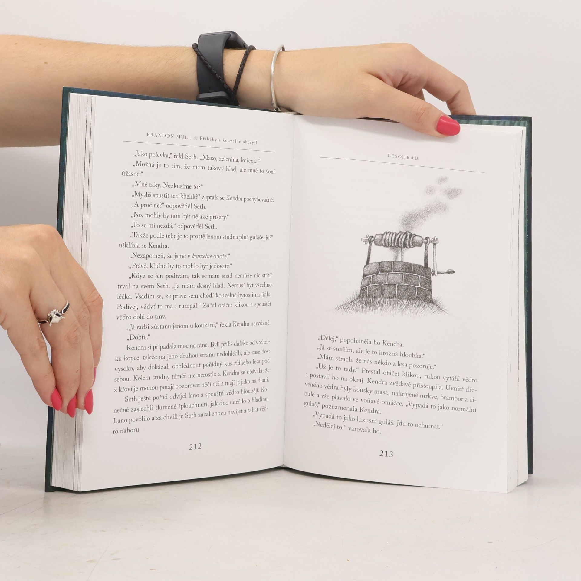 Brandon Mull Příběhy z kouzelné obory 1. Lesohrad