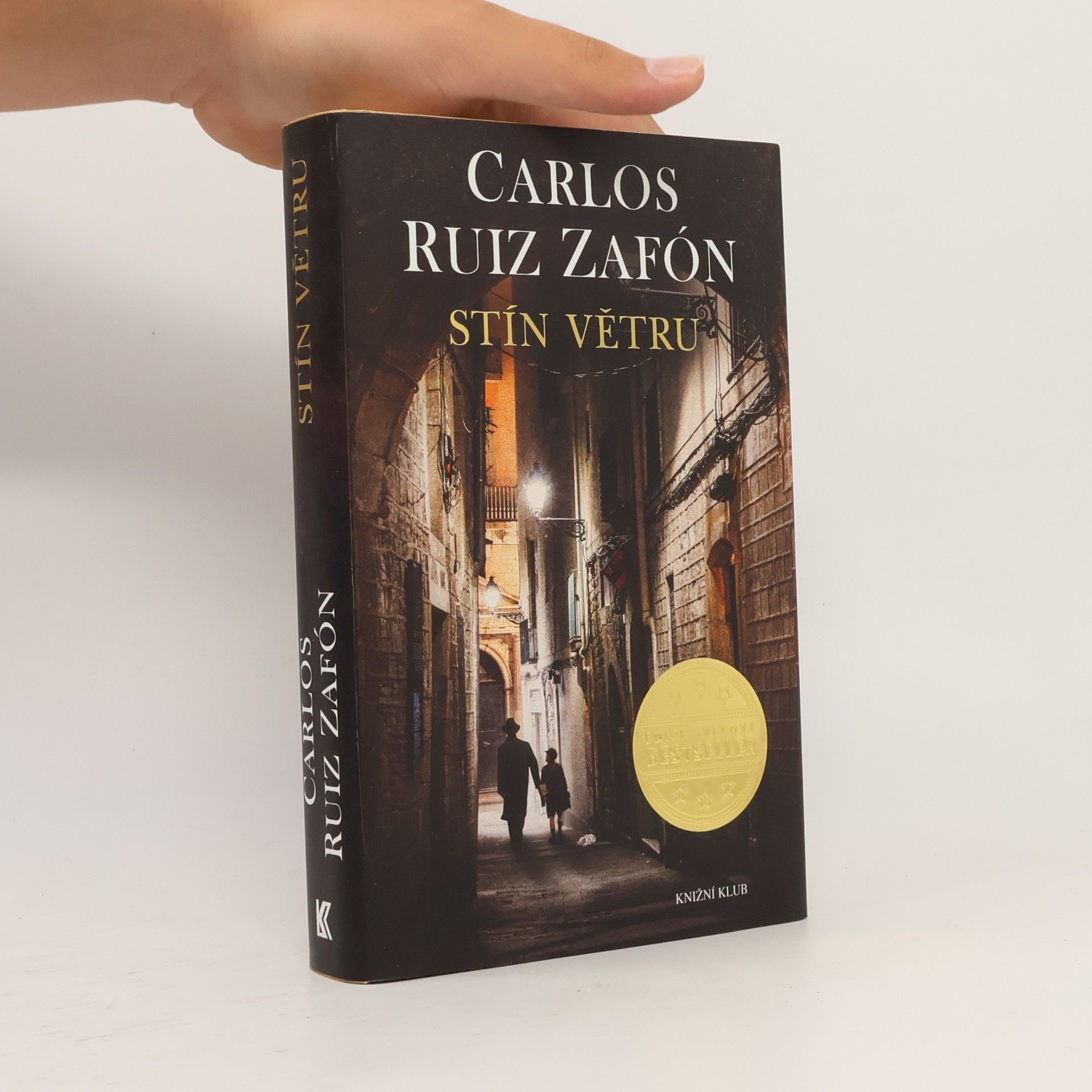 Carlos Ruiz Safon Stín větru