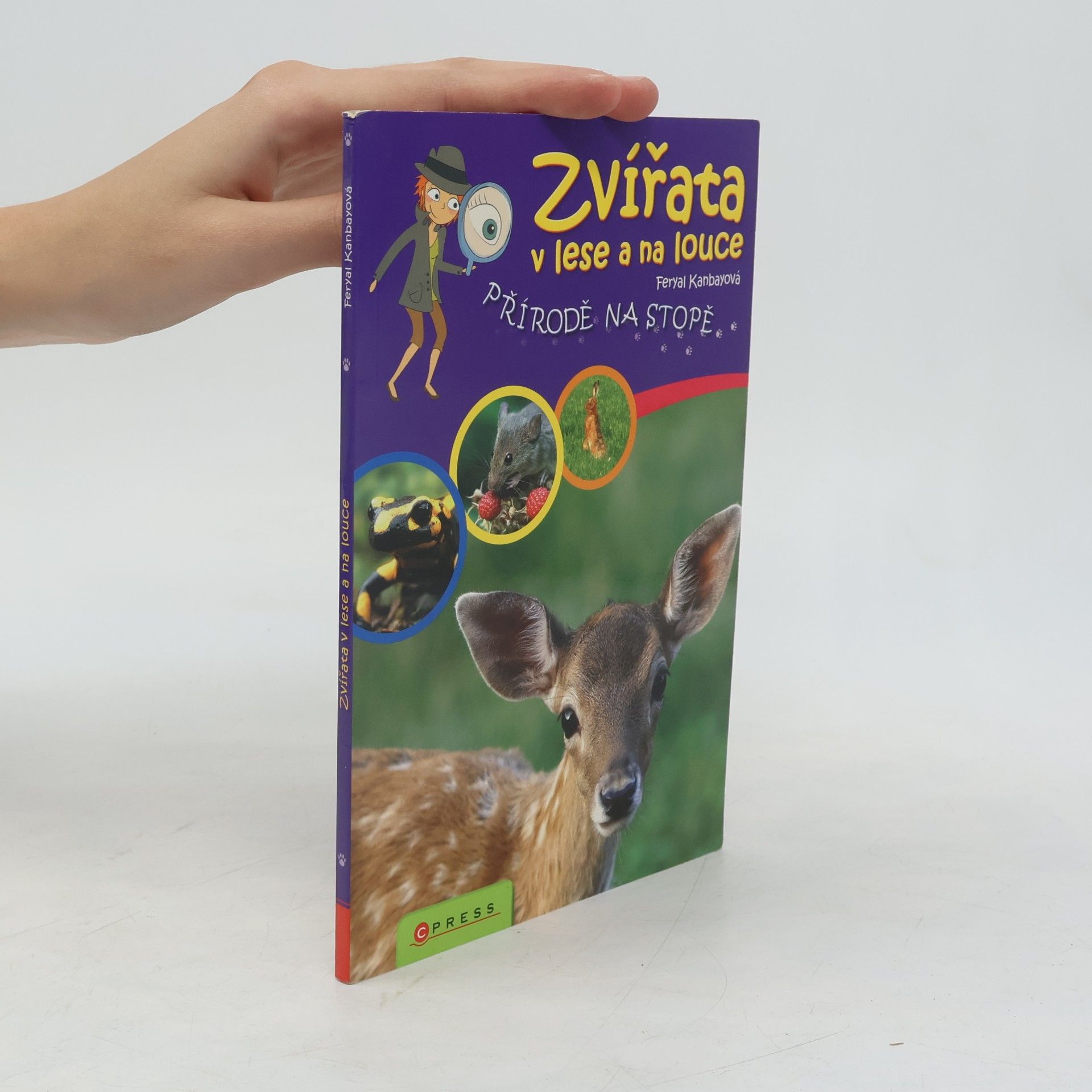 Feryal Kanbay Zvířata v lese a na louce