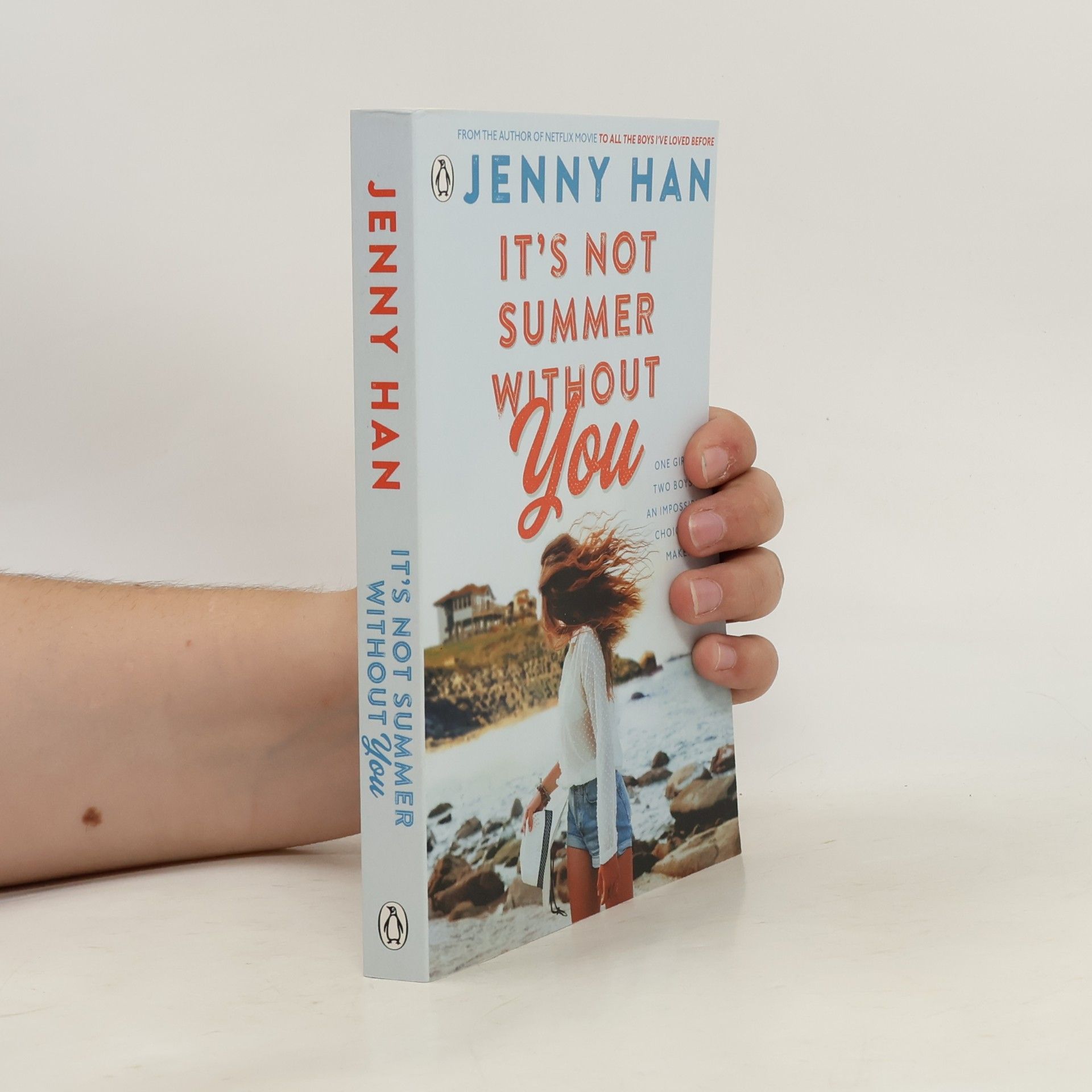 Jenny Han It's Not Summer Without You