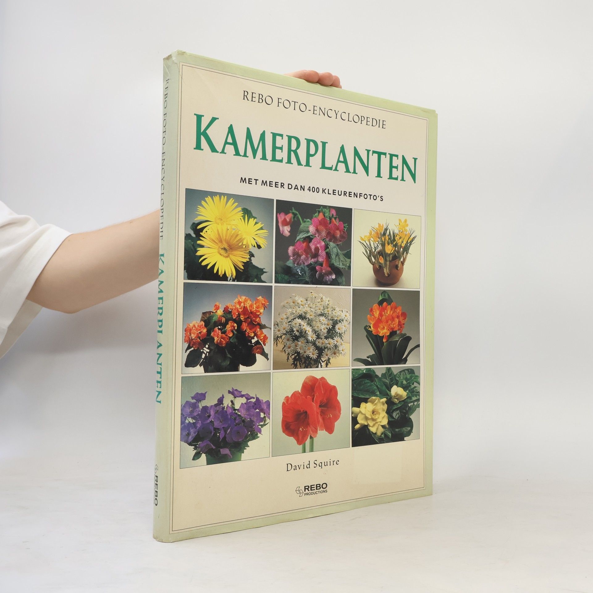 Kamerplanten