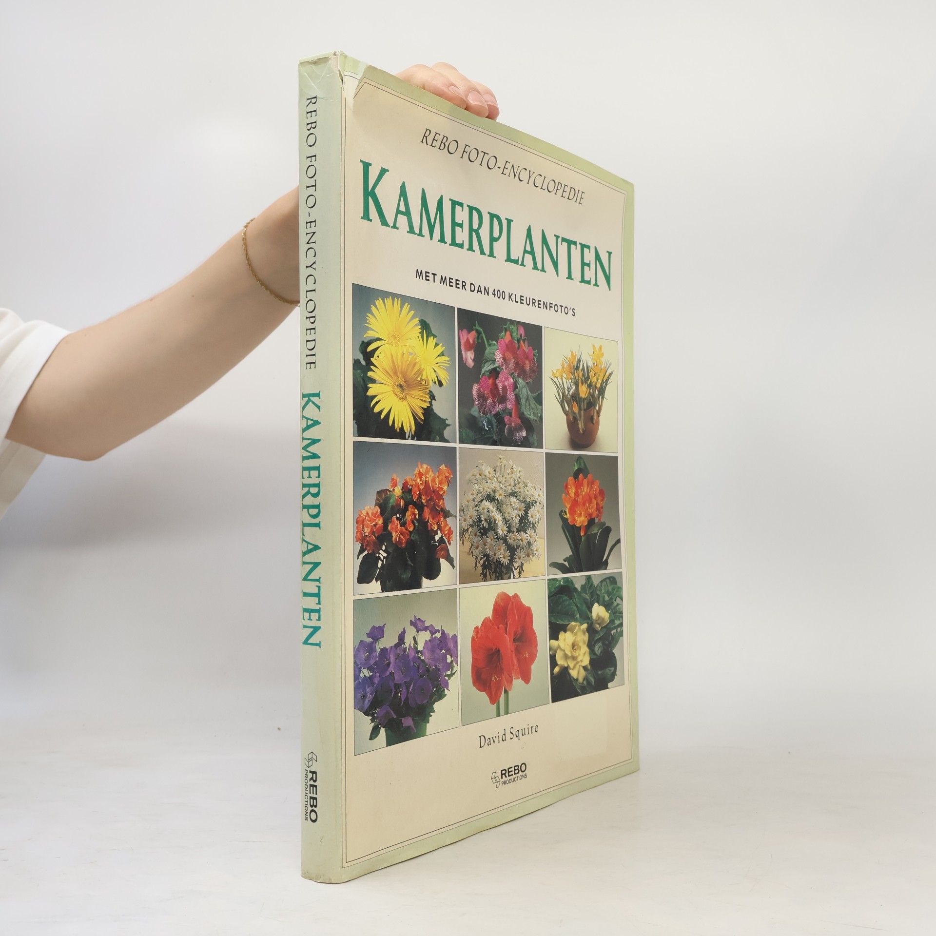David Squire Kamerplanten