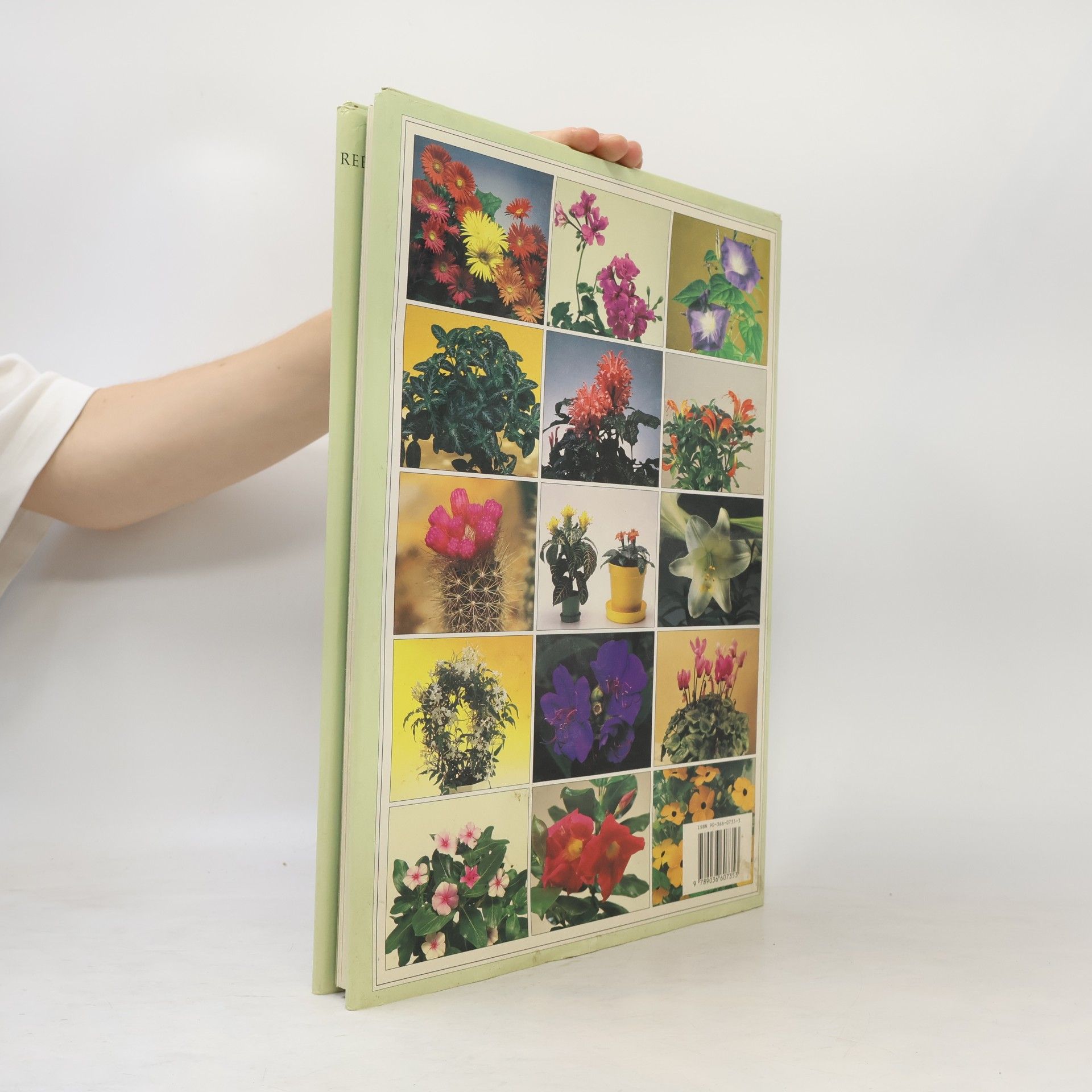 David Squire Kamerplanten