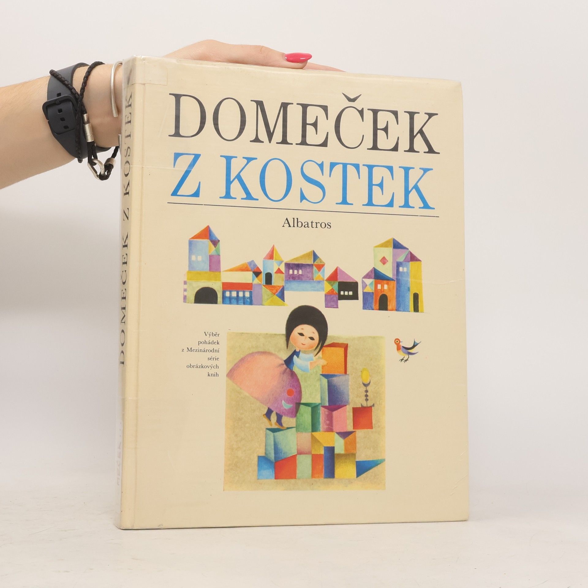 Autores varios Domeček z kostek